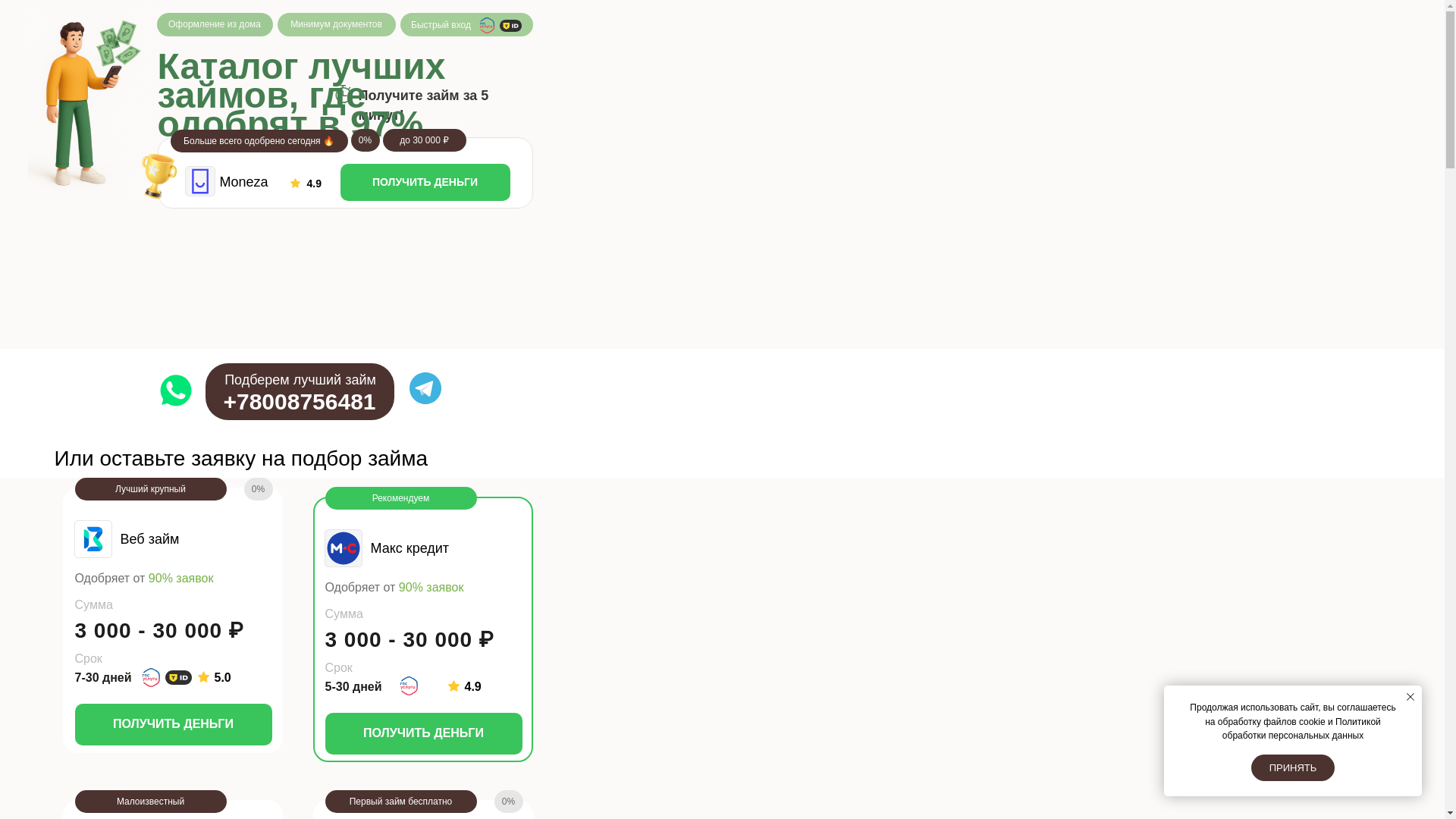 website screenshot of https://zaymforce.online/