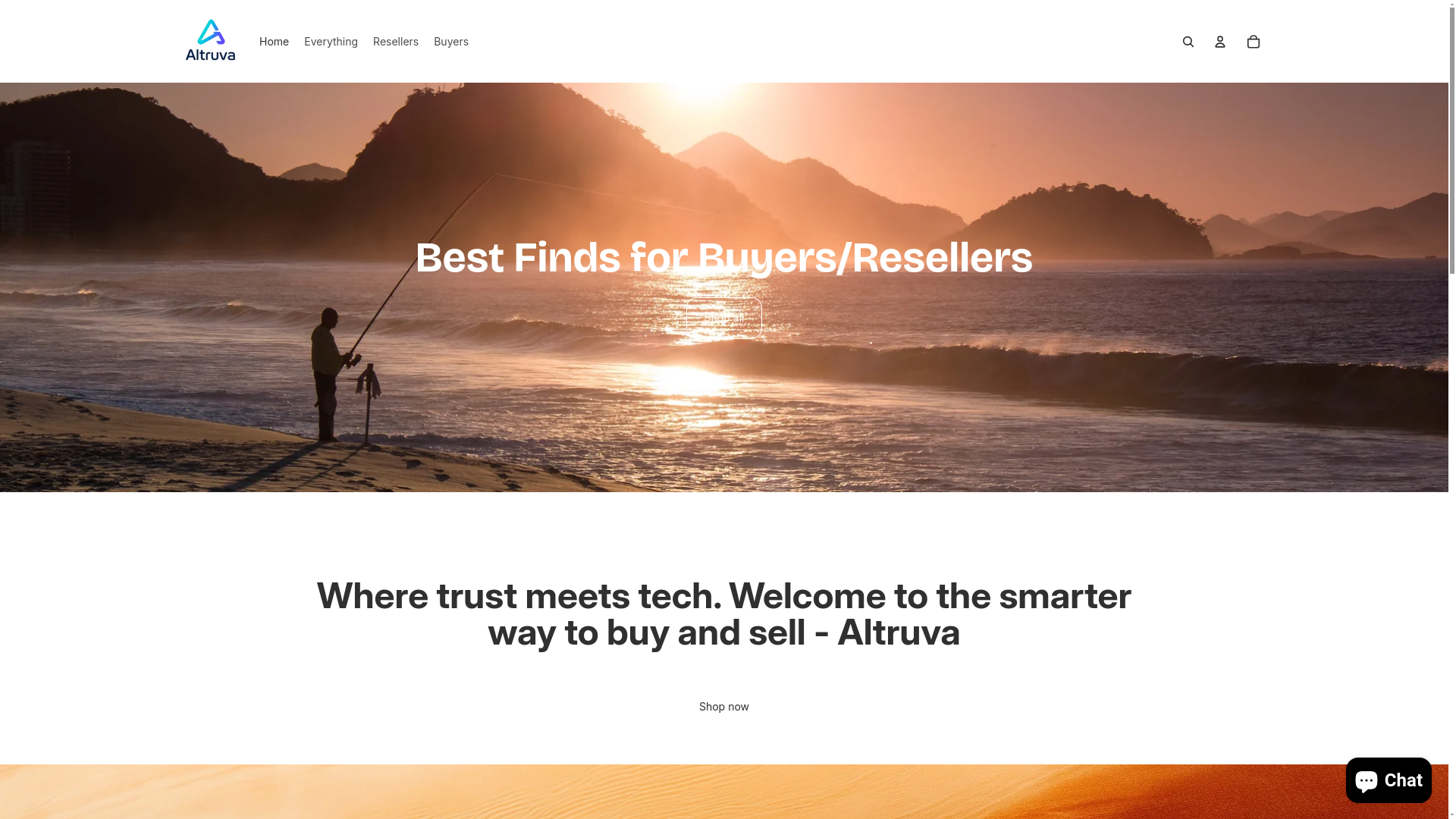 website screenshot of https://altruva.shop/