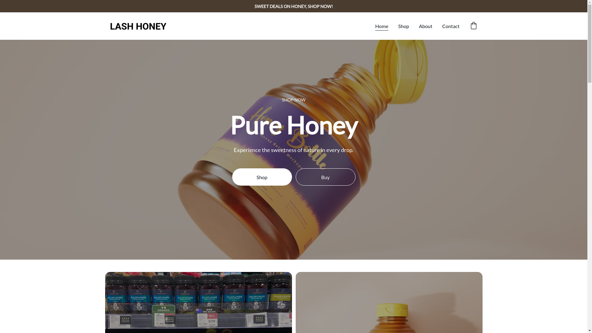 website screenshot of https://lash-honey.com/