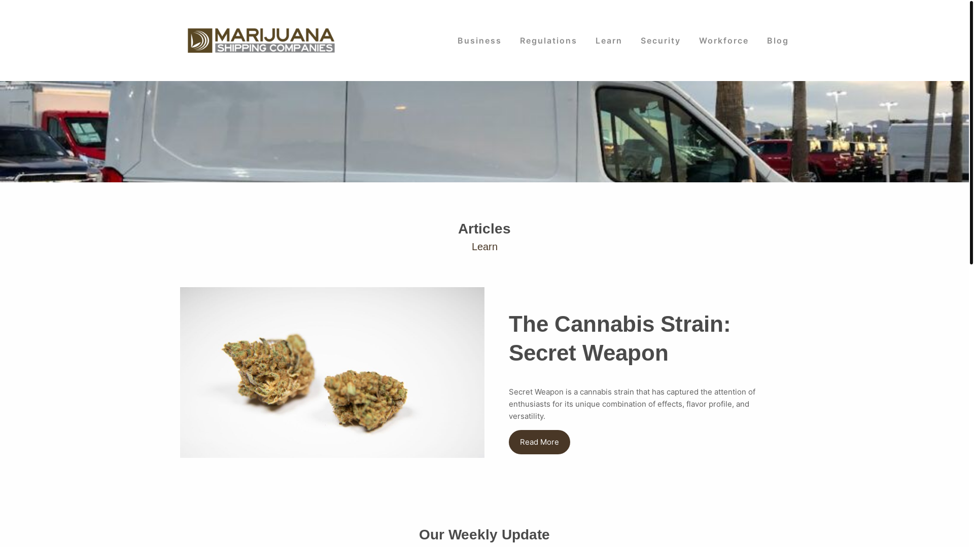 website screenshot of https://marijuanashippingcompanies-com.pages.dev/