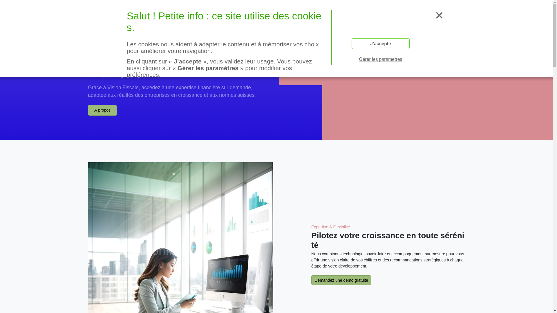 website screenshot of https://visionfiscale.com/