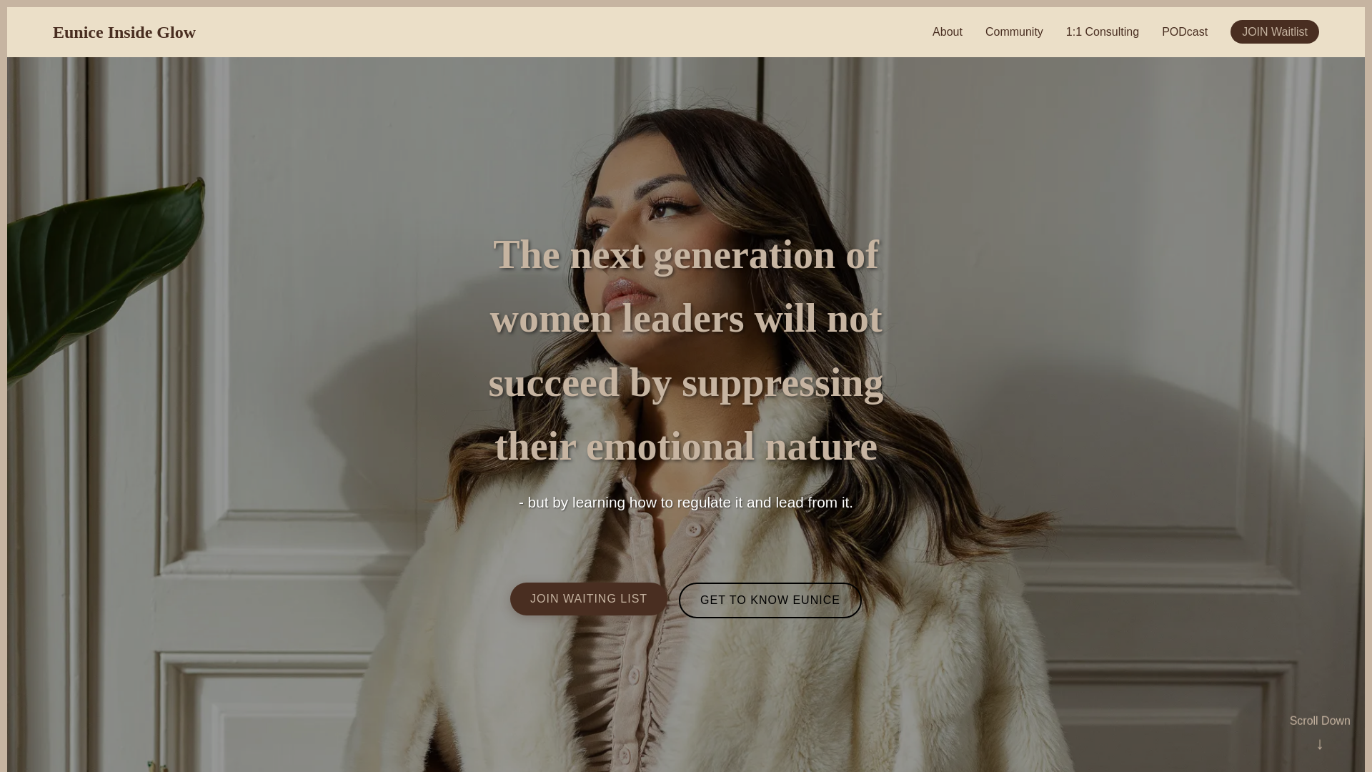 website screenshot of https://eunic-website.pages.dev/