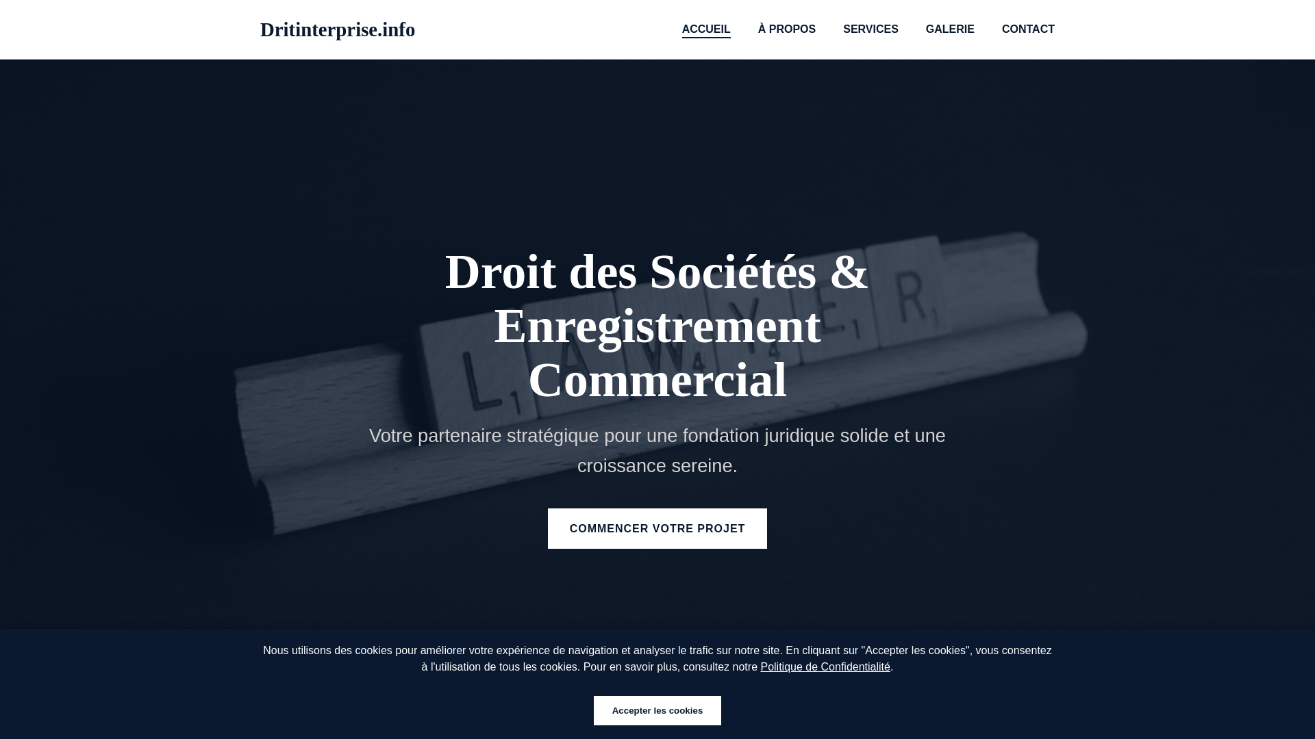 website screenshot of https://dritinterprise.info