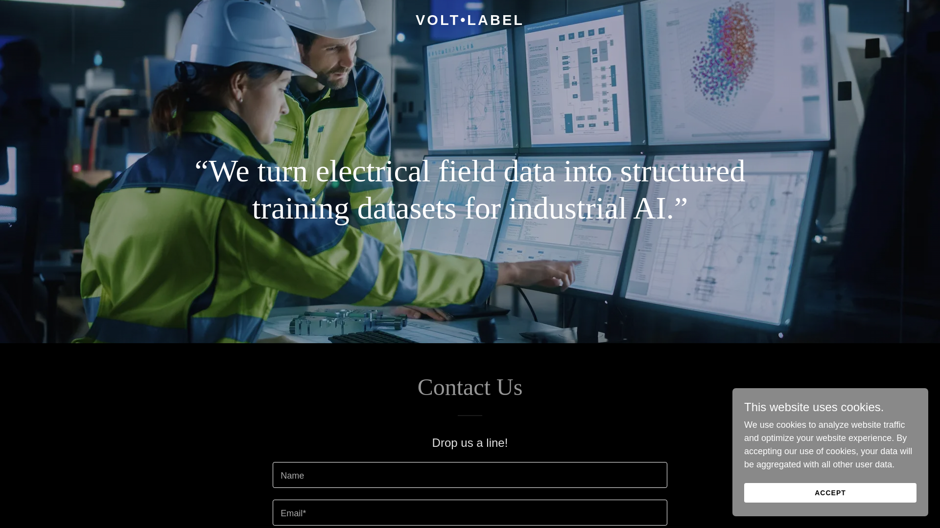 website screenshot of https://voltlabel.com/