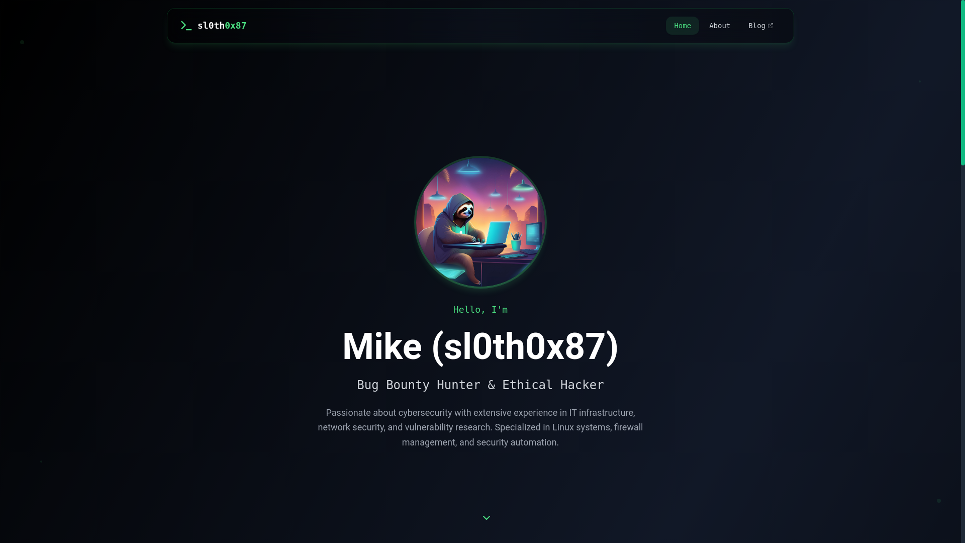 website screenshot of https://sl0th0x87-website.pages.dev/