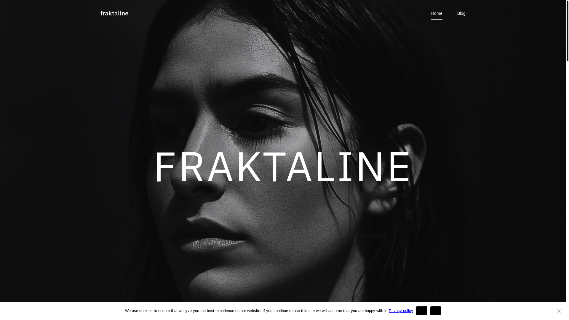 website screenshot of https://fraktaline.com/