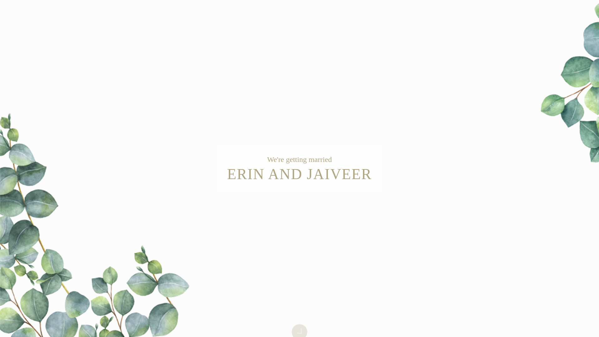 website screenshot of https://erinandjaiveer.com/