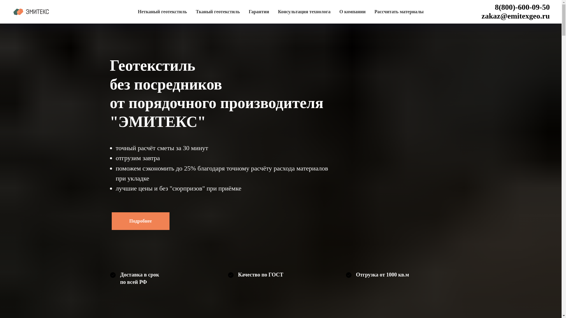 website screenshot of https://emitex-nn.ru/