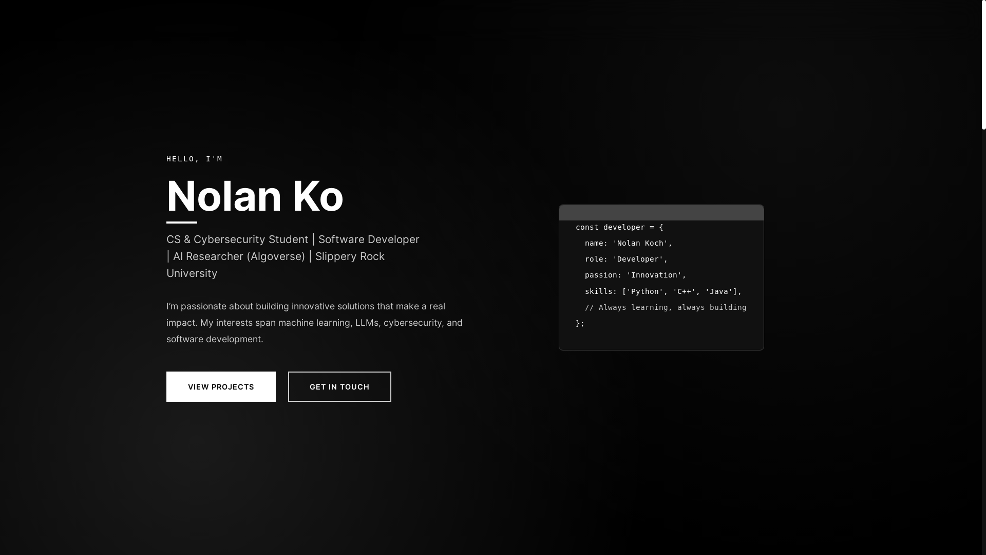 website screenshot of https://nolank.dev/