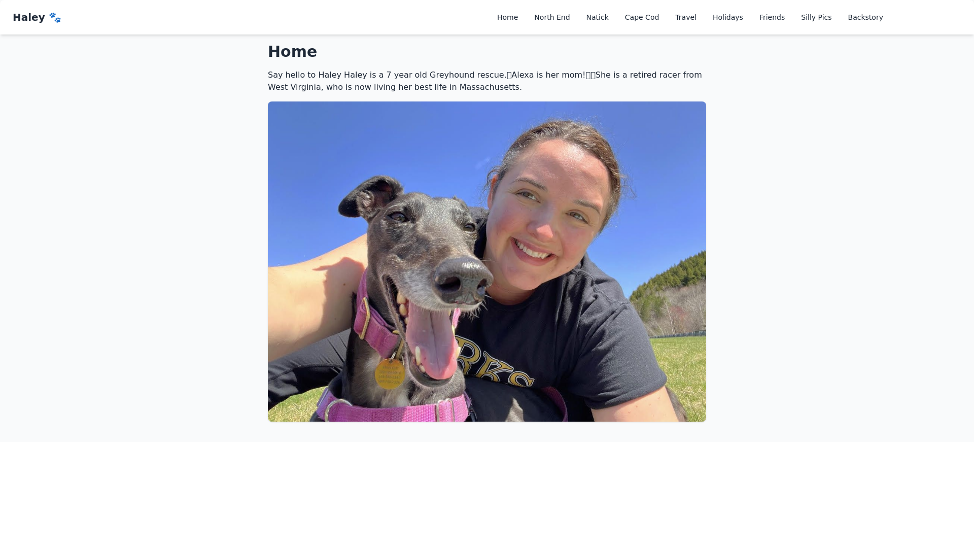 website screenshot of https://haley-site.pages.dev/