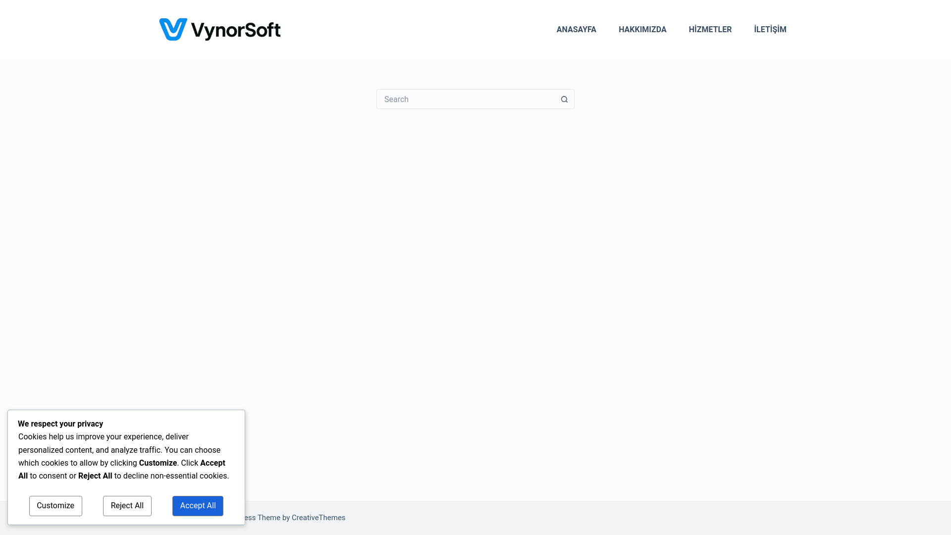 website screenshot of https://vynorsoft.com/