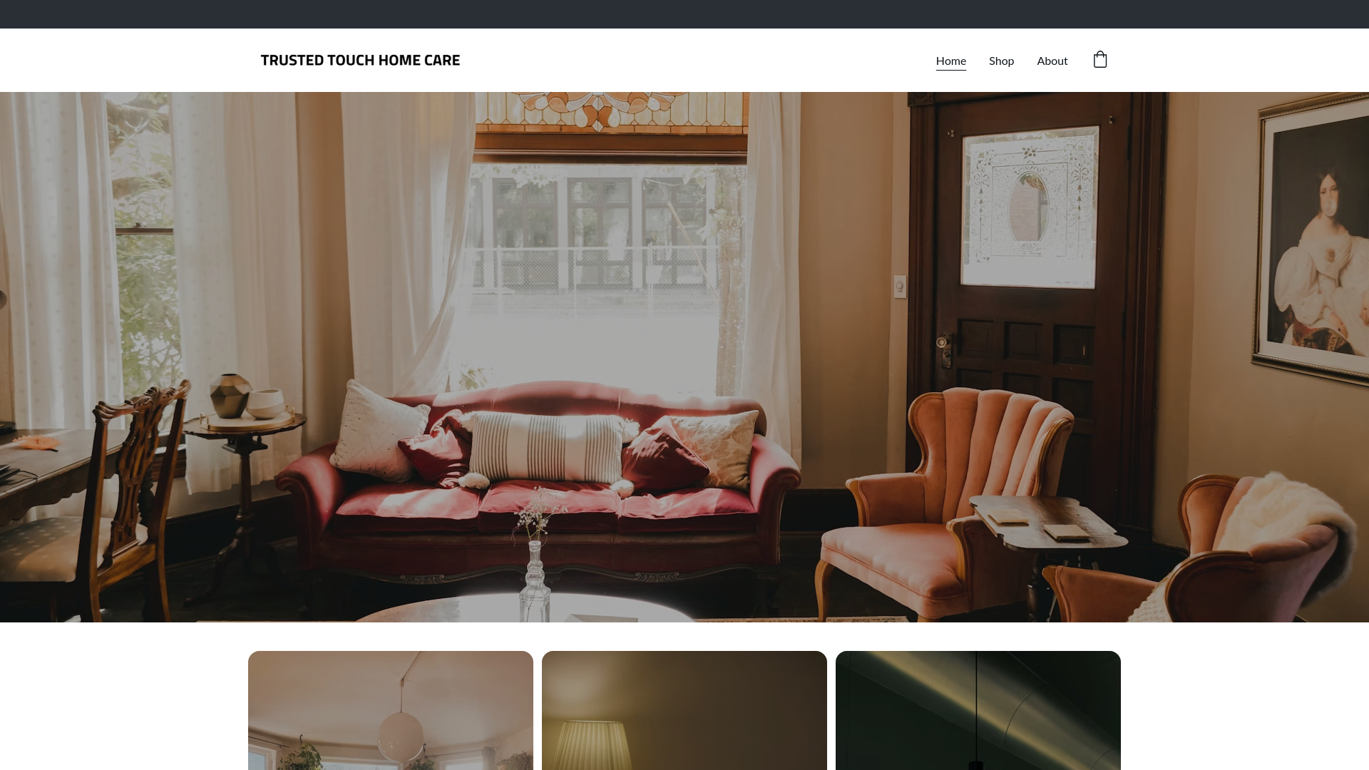 website screenshot of https://trusted-touchhomecare.com/