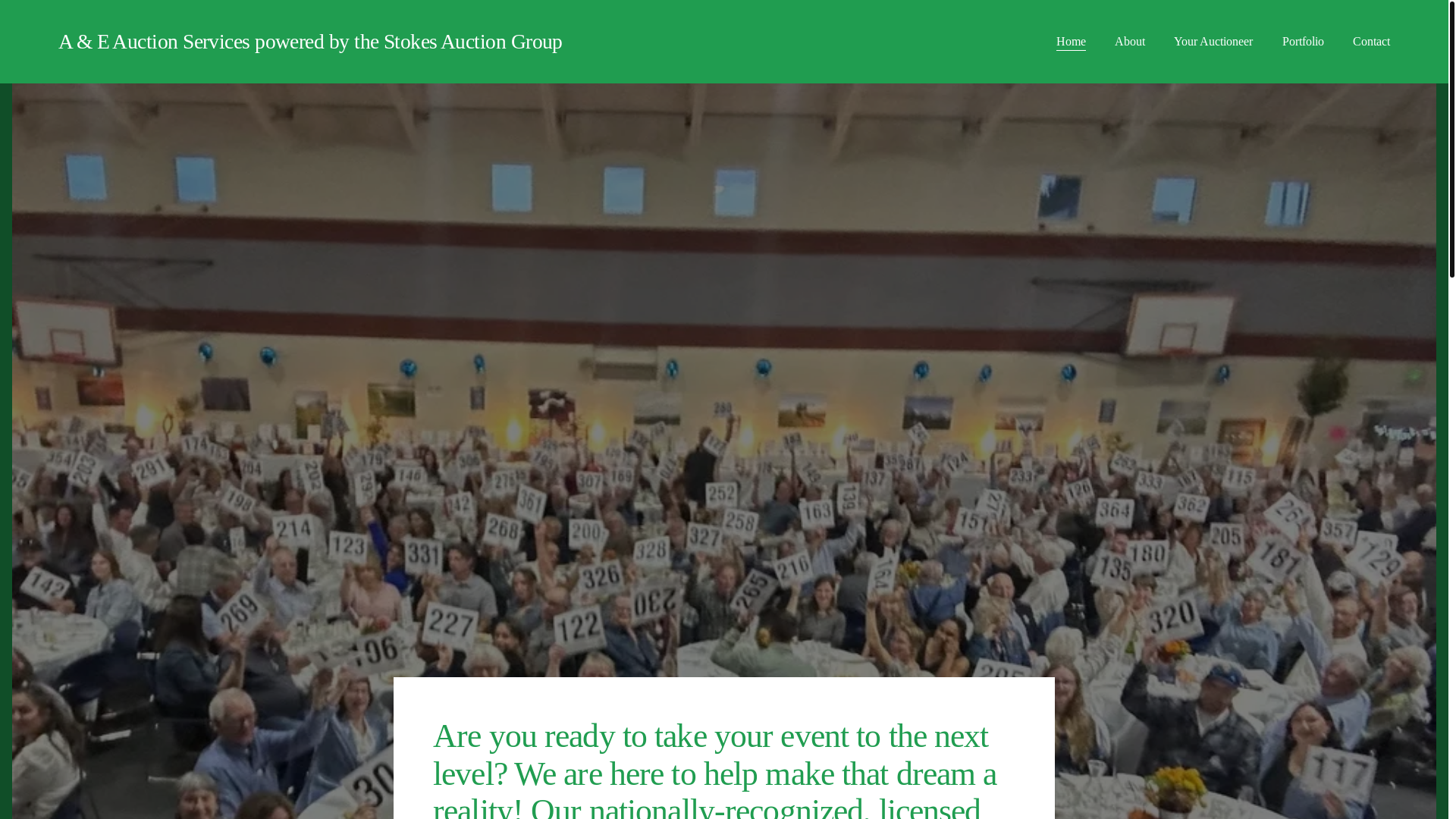 website screenshot of https://aeauctionservices.com/