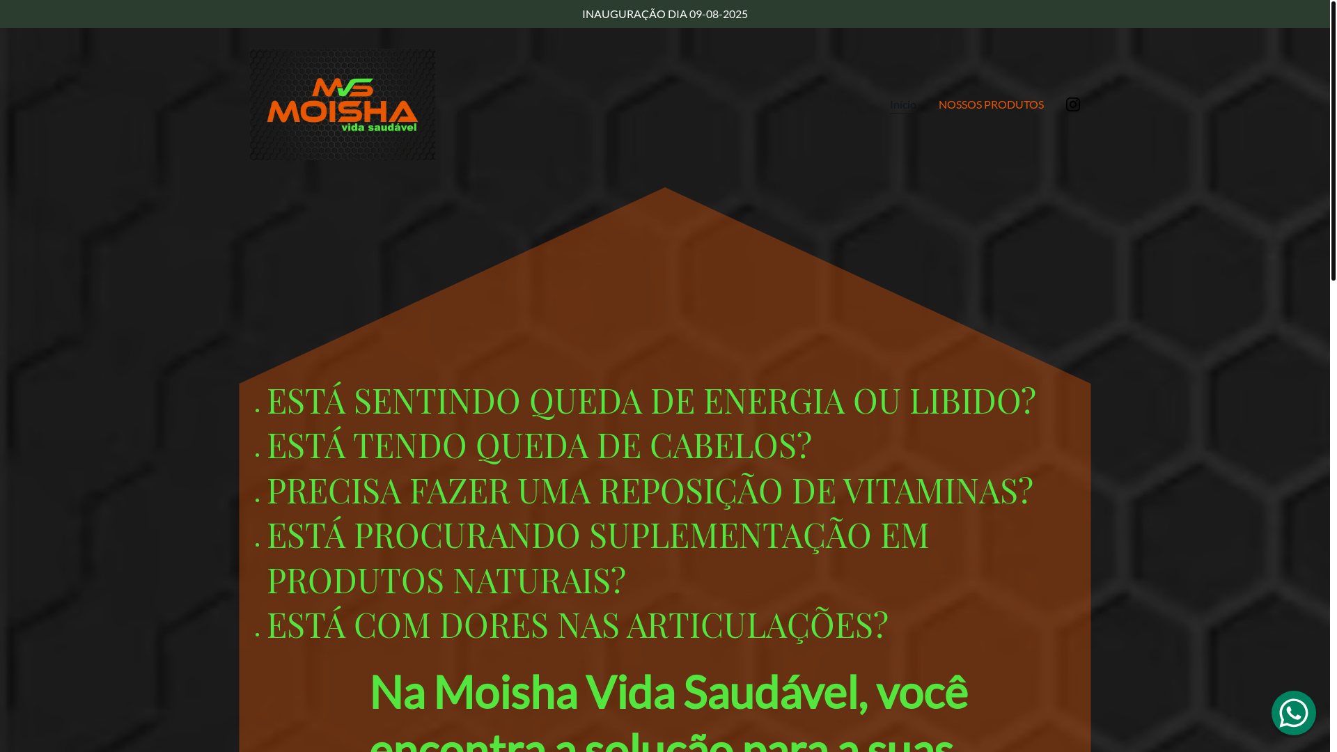 website screenshot of https://moisha.com.br/