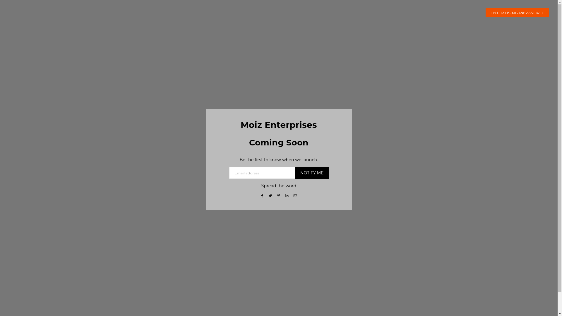 website screenshot of https://moizenterprises.shop/