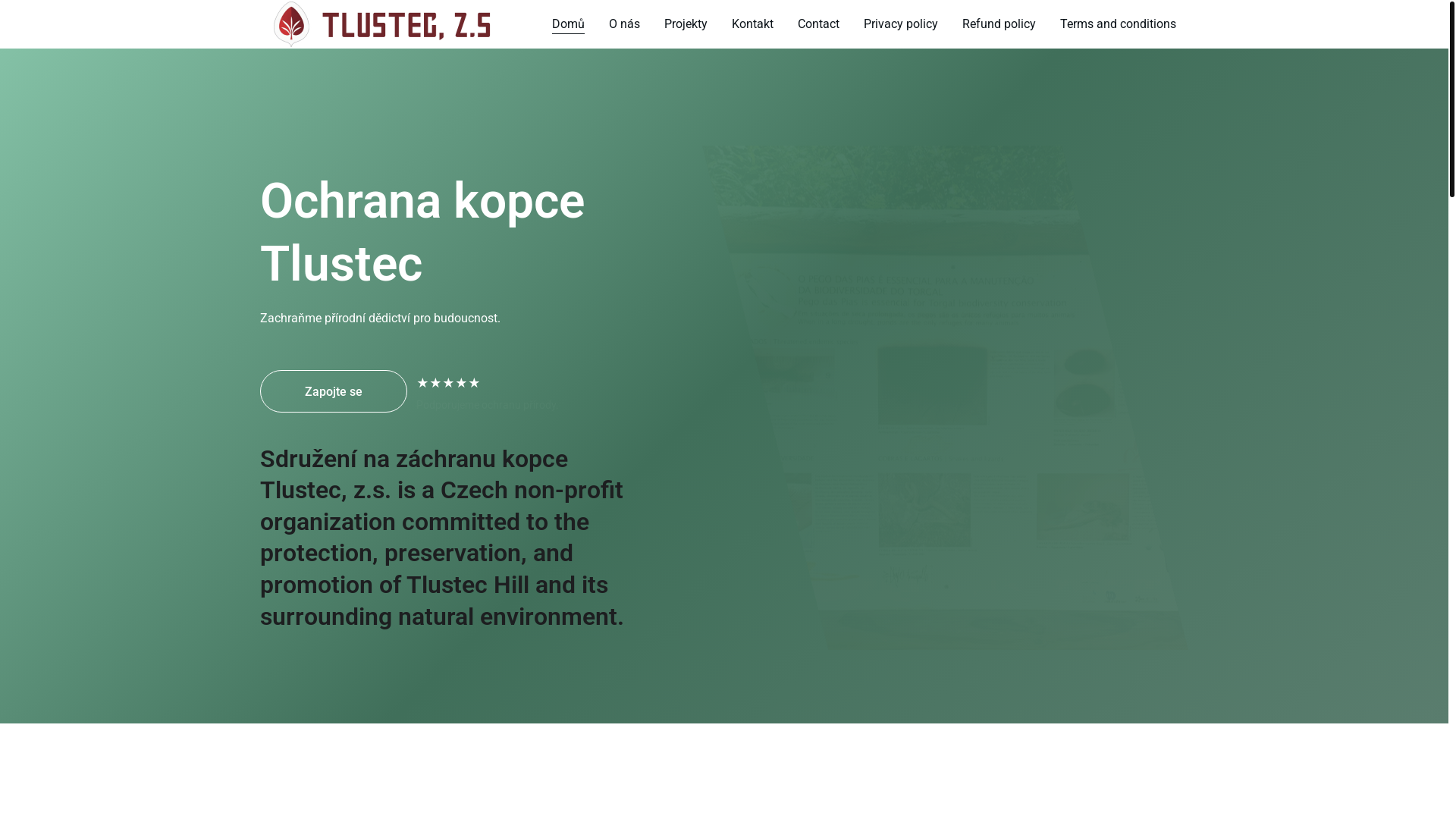 website screenshot of https://tlustecsave.store/