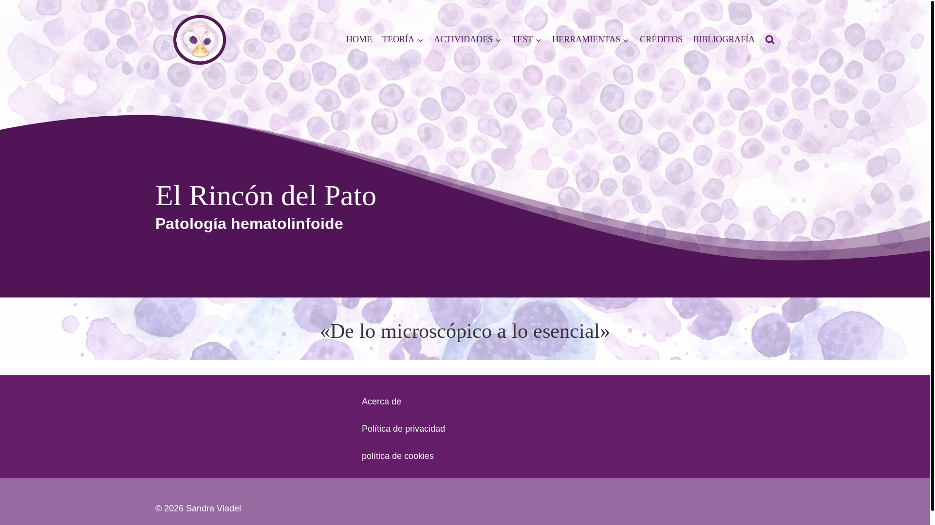 website screenshot of https://rincondelpato.es/