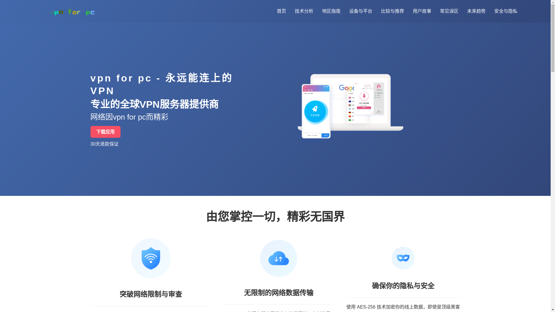 website screenshot of https://cn-vpnforpc.net/