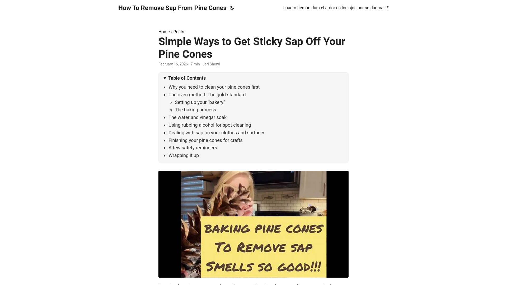 website screenshot of https://how-to-remove-sap-from-pine-cones.pages.dev/