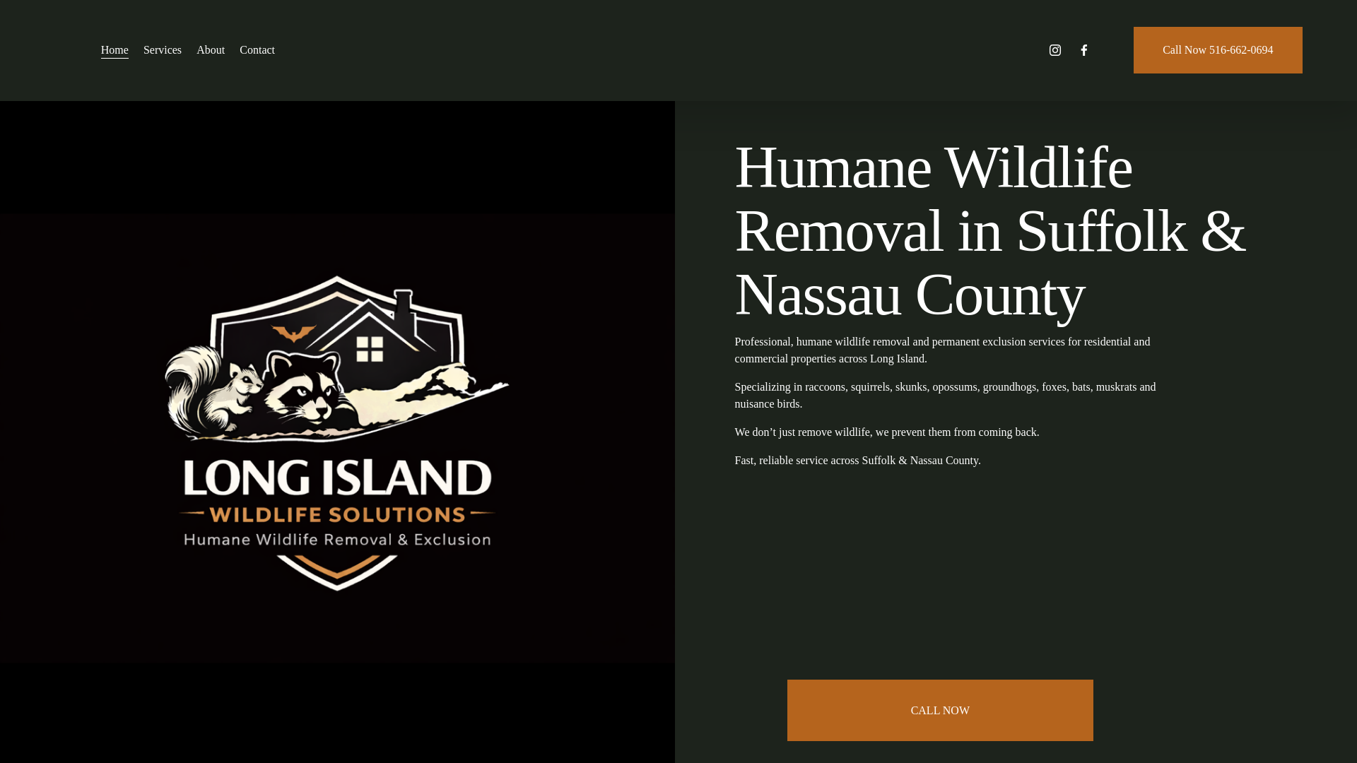 website screenshot of https://longislandwildlifesolutions.com/