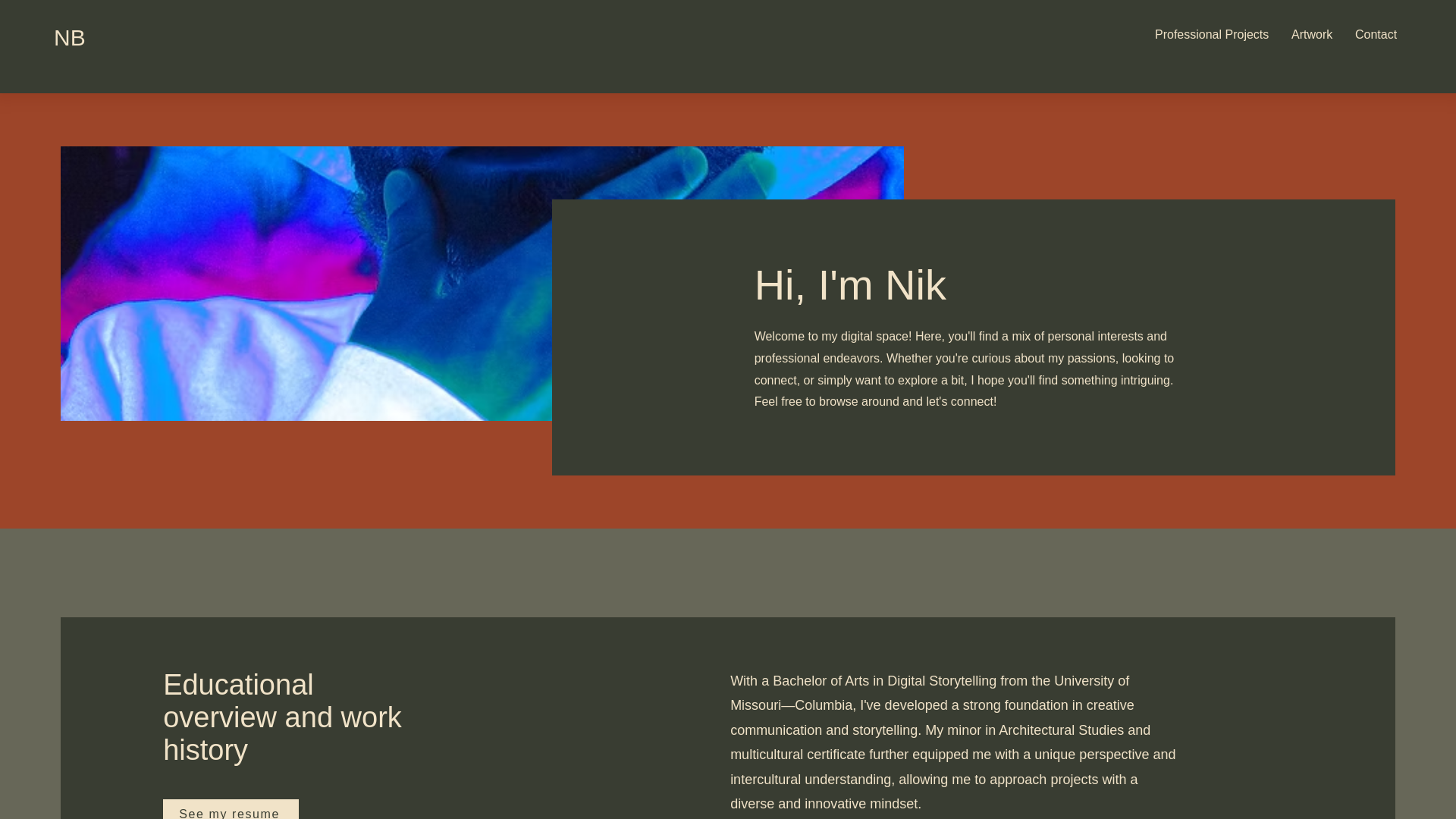 website screenshot of https://nbalducci.com/