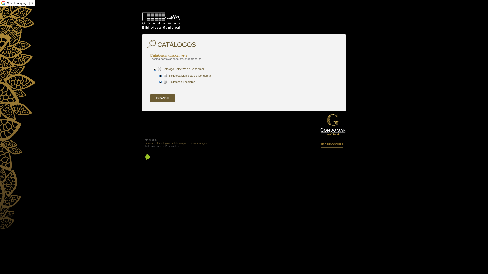 website screenshot of https://opacgib.cm-gondomar.pt/