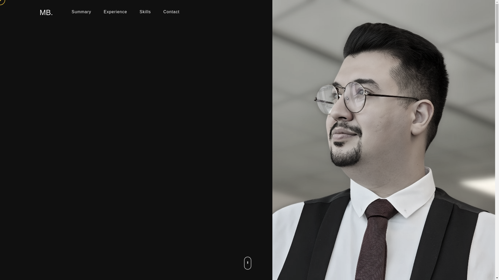 website screenshot of https://basiratnia.com/