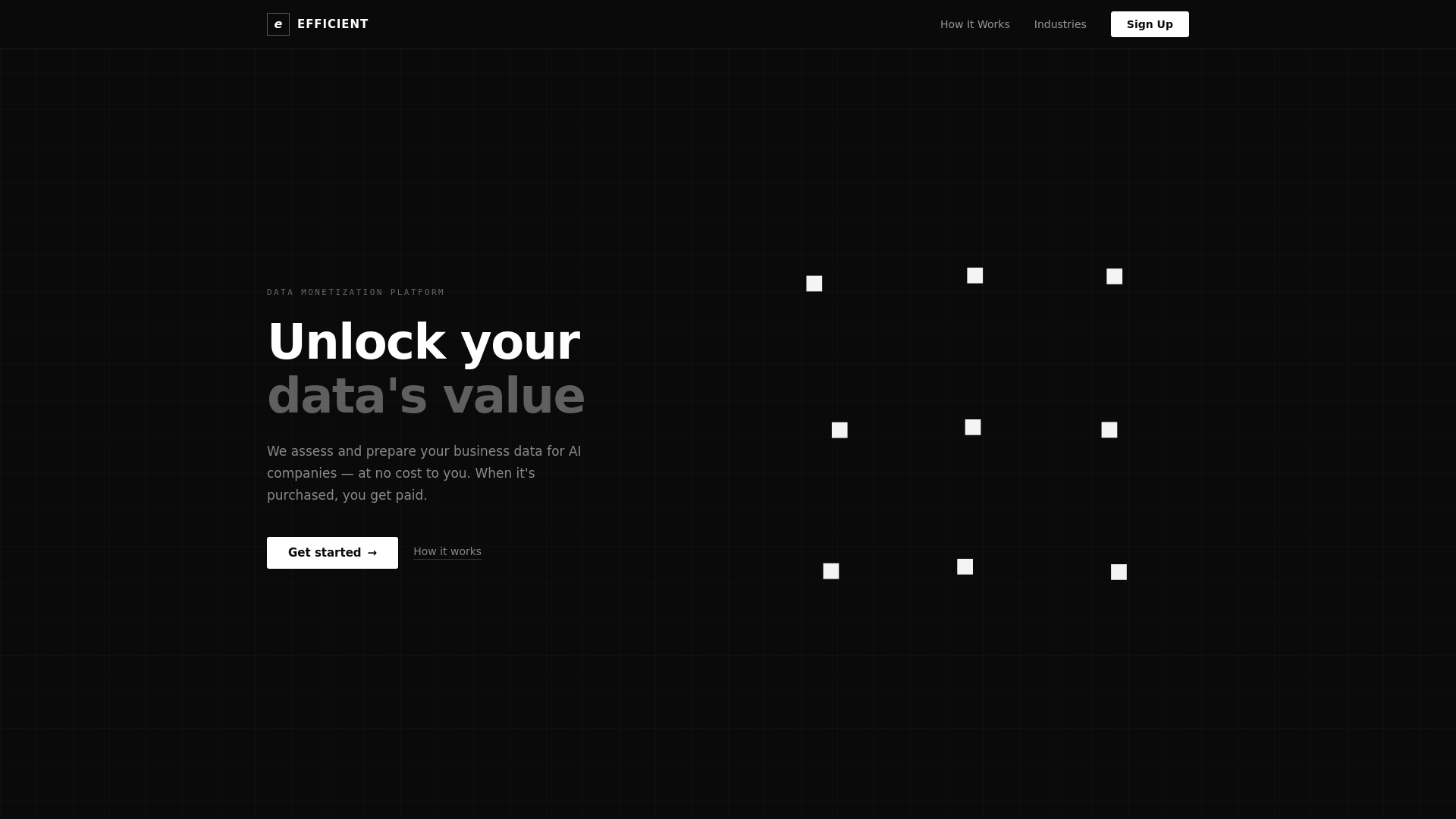 website screenshot of https://withefficient.ai
