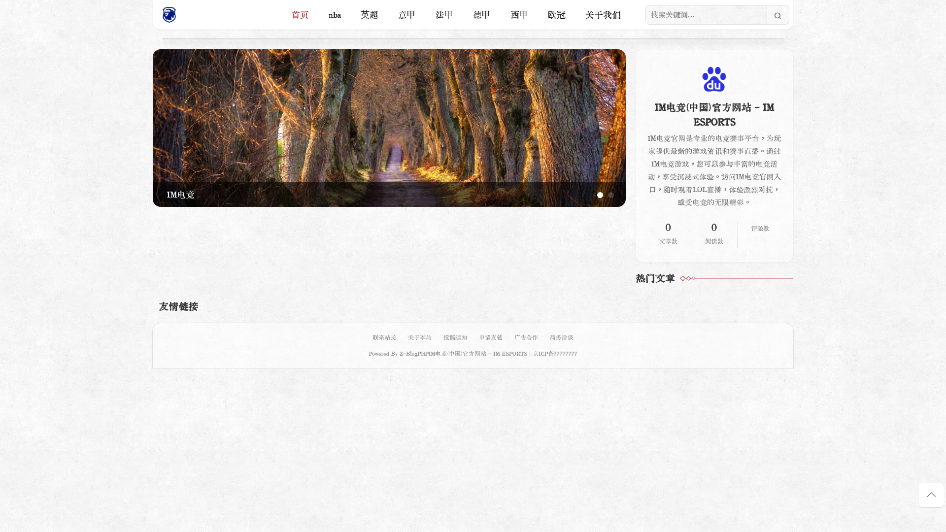 website screenshot of https://vip-imdianjing.com/