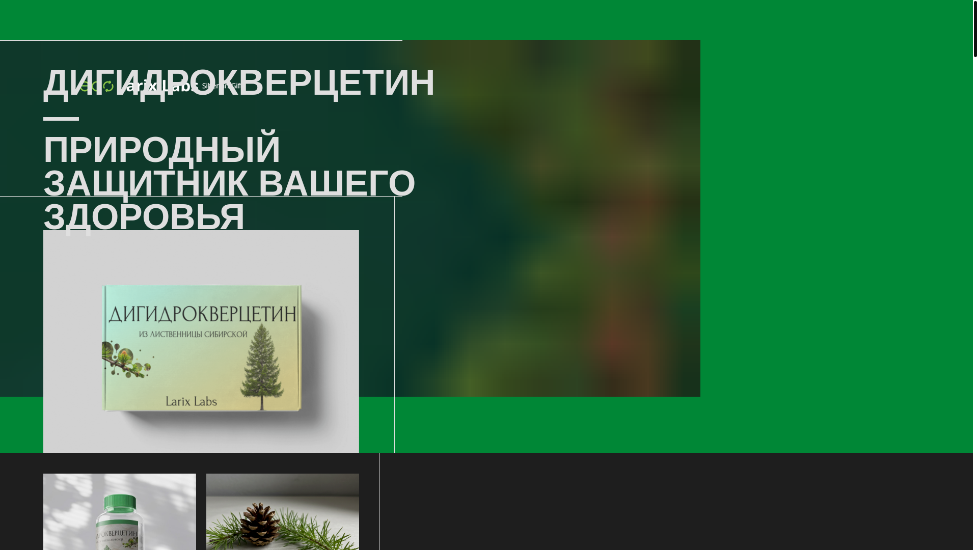 website screenshot of https://larchlabs.ru/