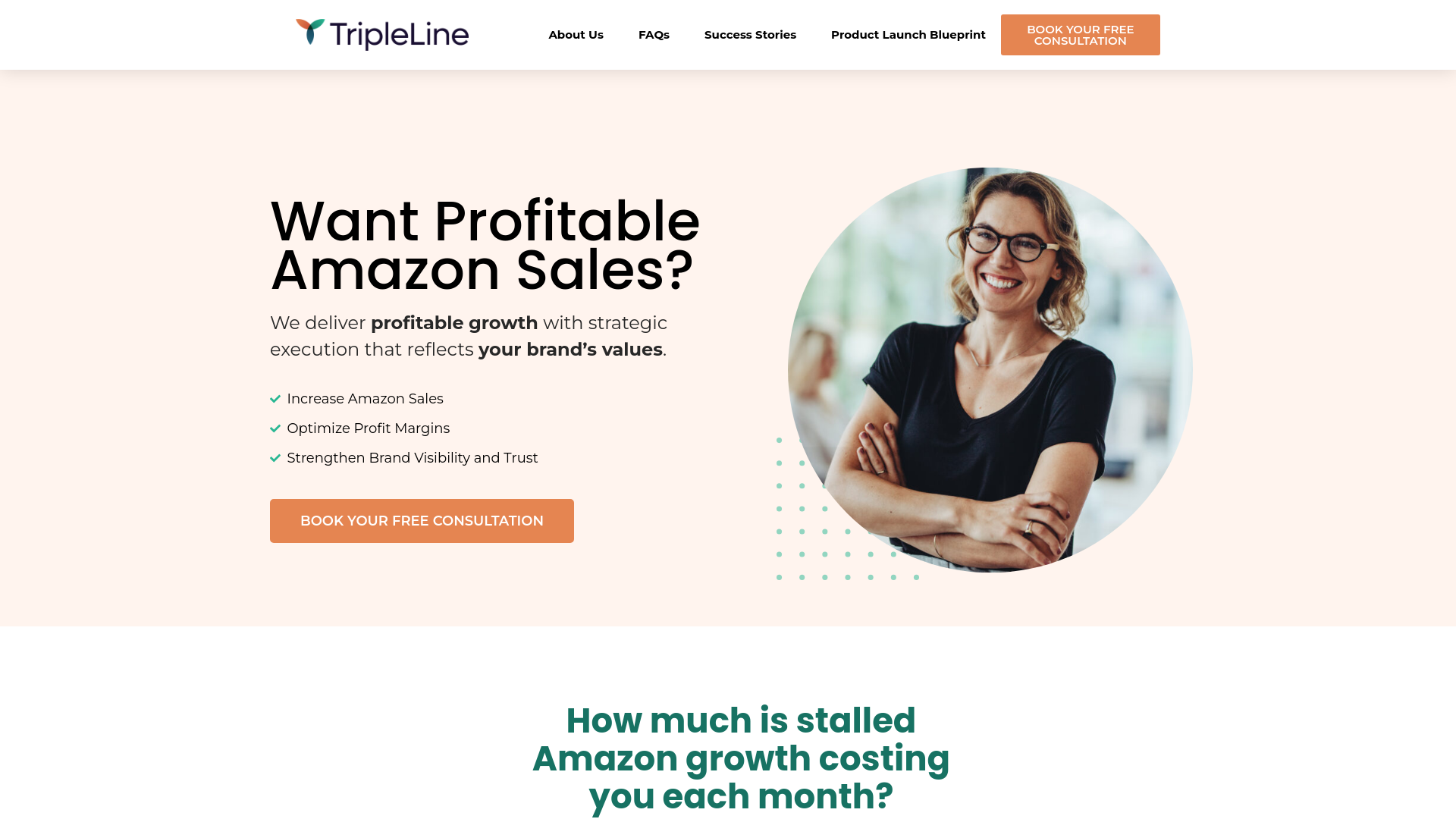 website screenshot of https://triplelinetraffic.info