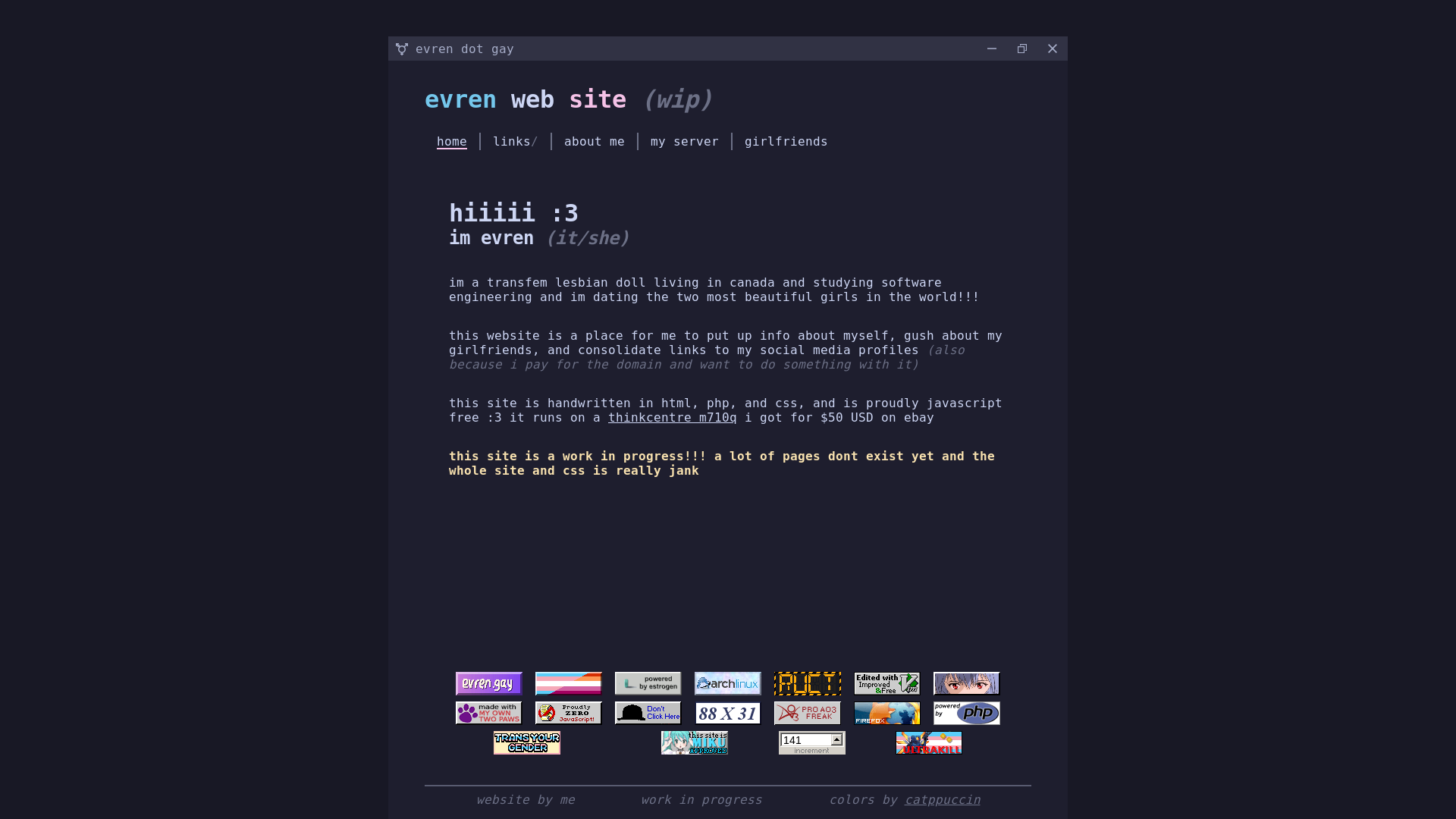website screenshot of https://evren.gay/