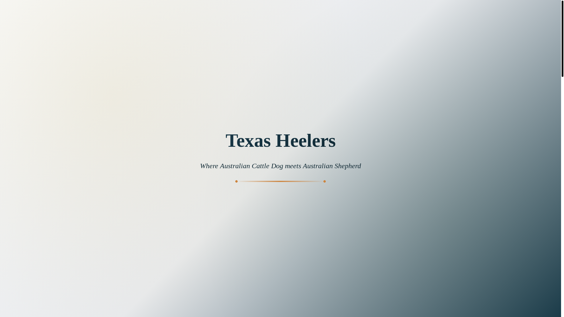 website screenshot of https://aretxheelersforyou.pages.dev/