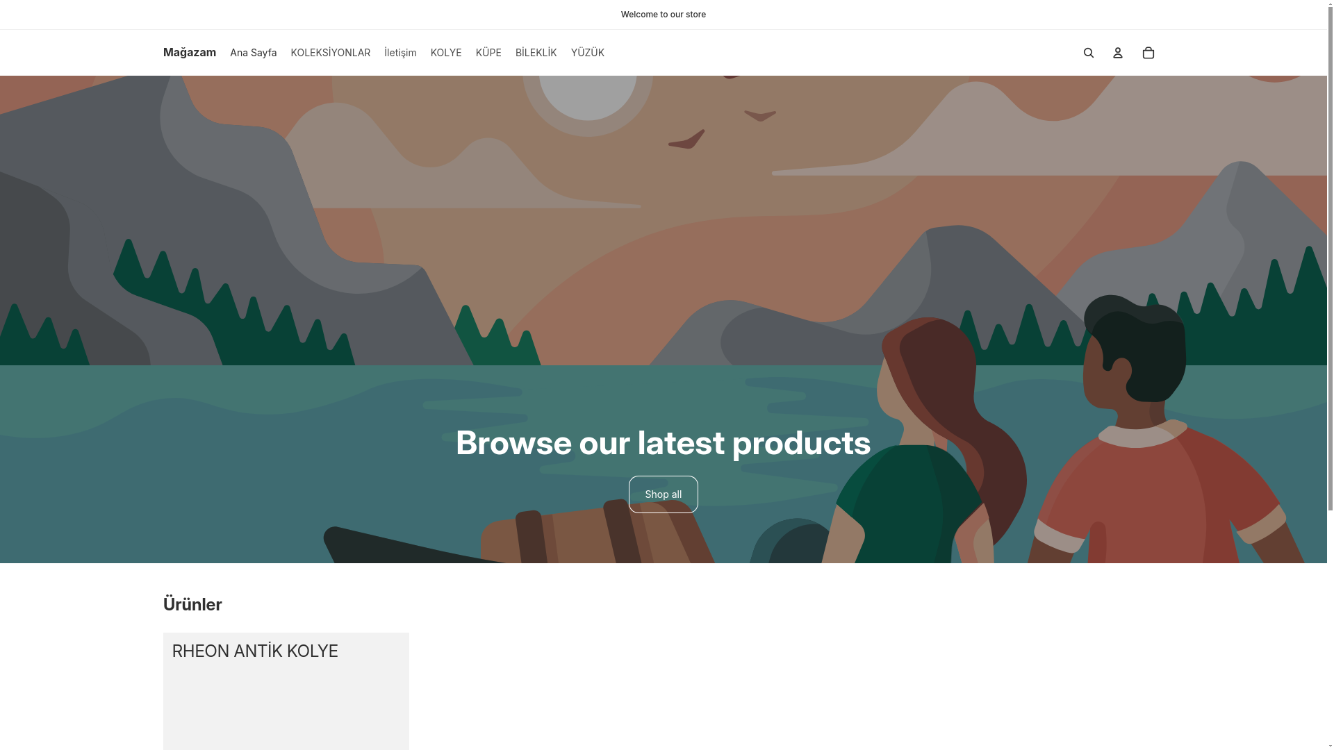 website screenshot of https://aslyistanbul.com/