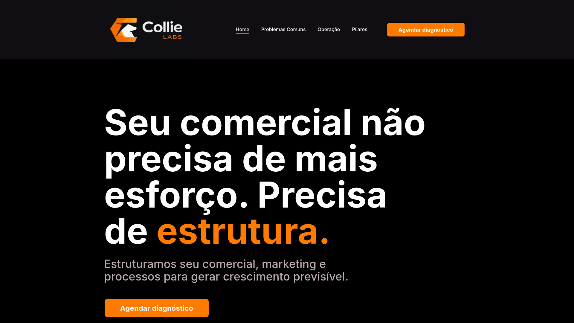 website screenshot of https://collielabs.com.br/
