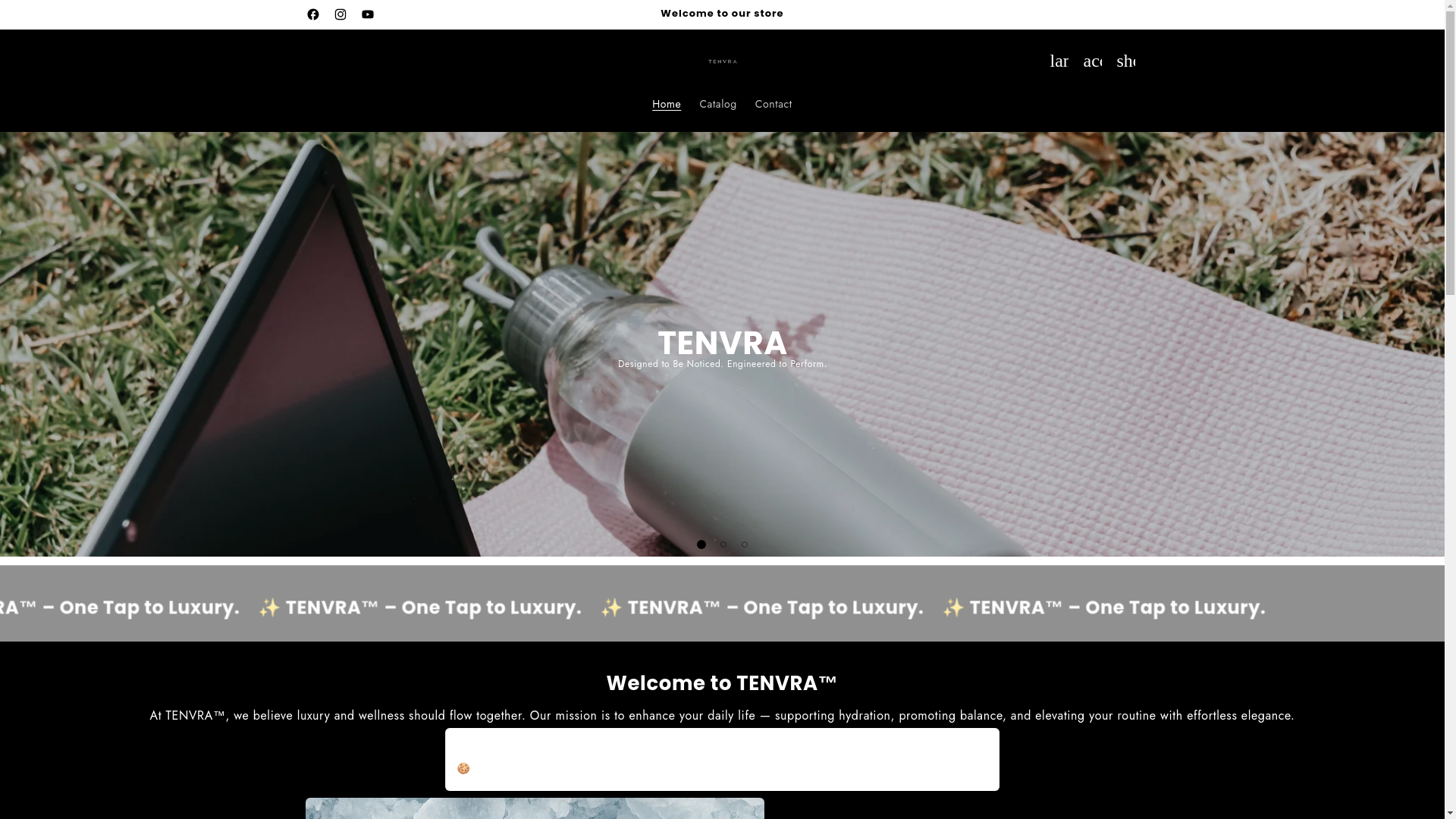 website screenshot of https://tenvra.store/