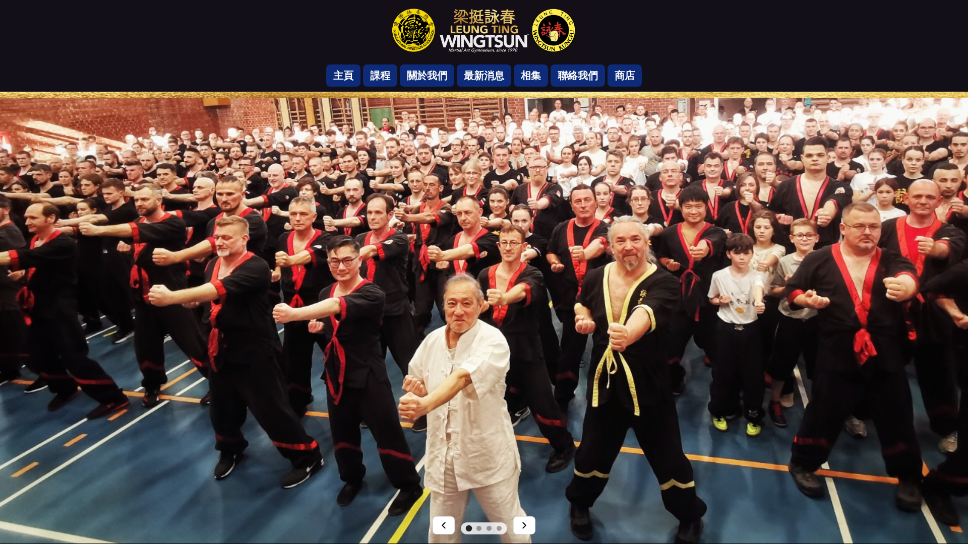 website screenshot of https://leung-ting.pages.dev/