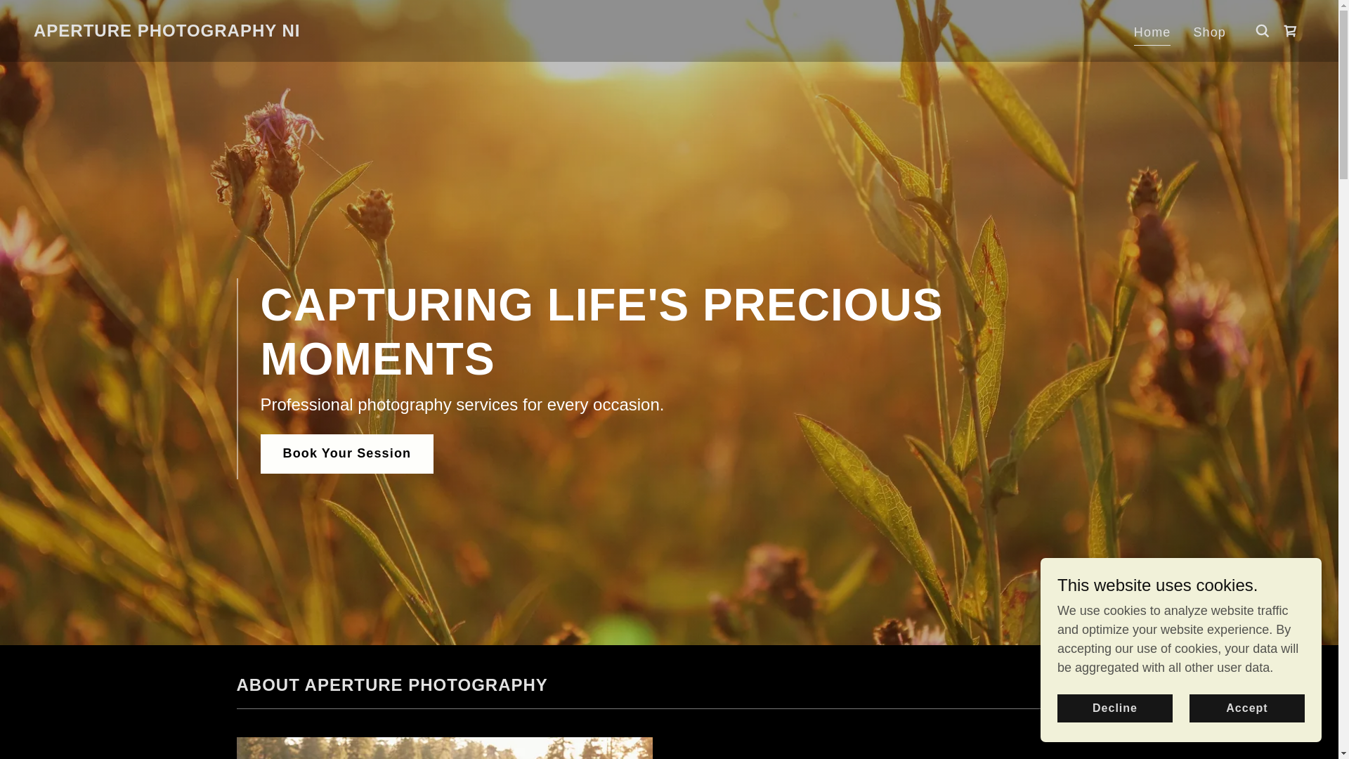 website screenshot of https://apni.uk/