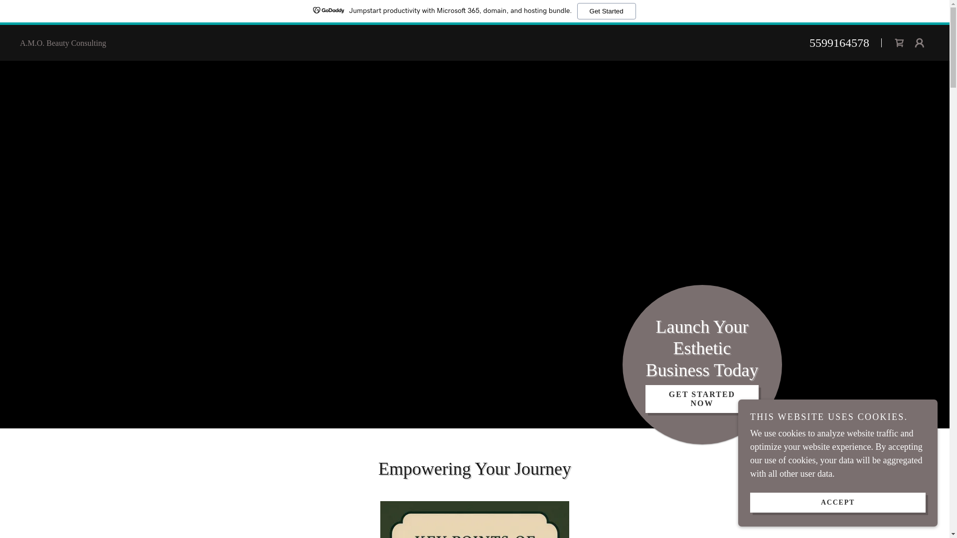 website screenshot of https://amobeautyconsulting.com/