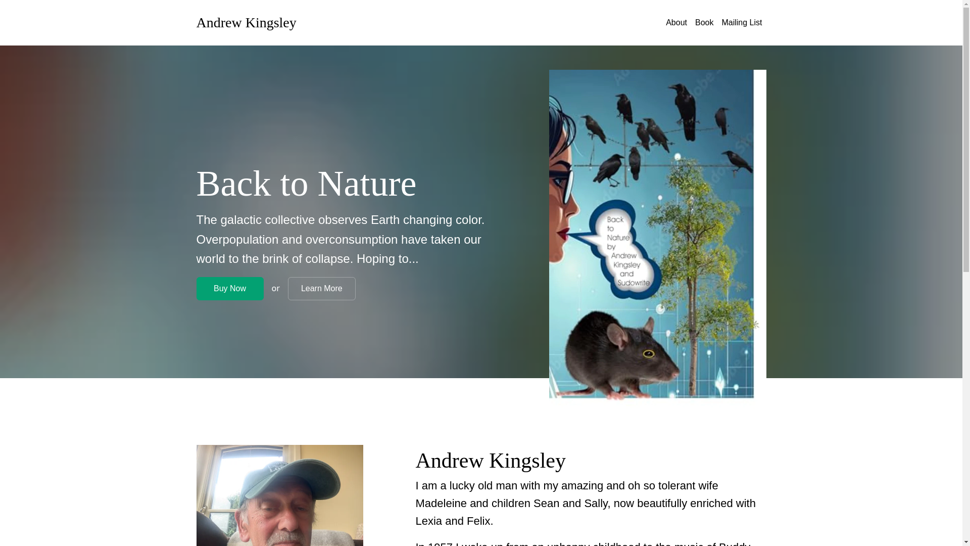 website screenshot of https://andrew-david-kingsley.com/