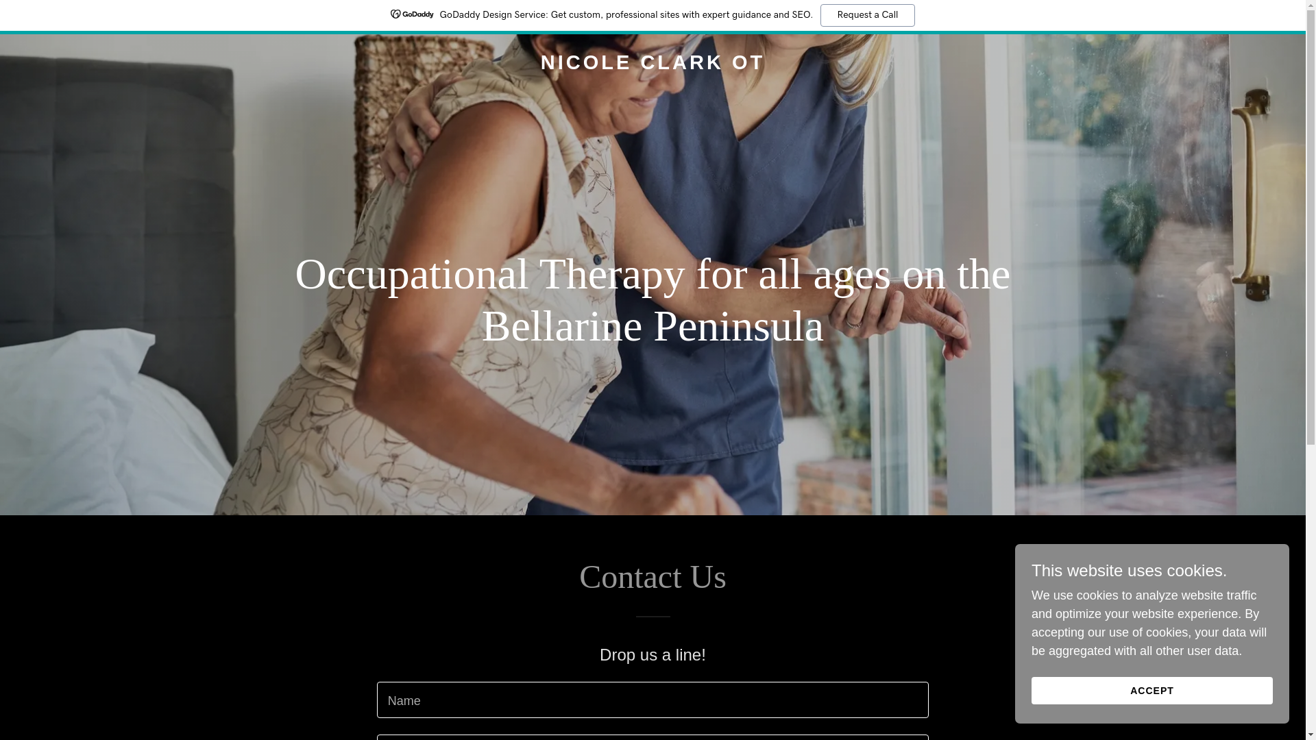 website screenshot of https://nicoleclarkot.com/