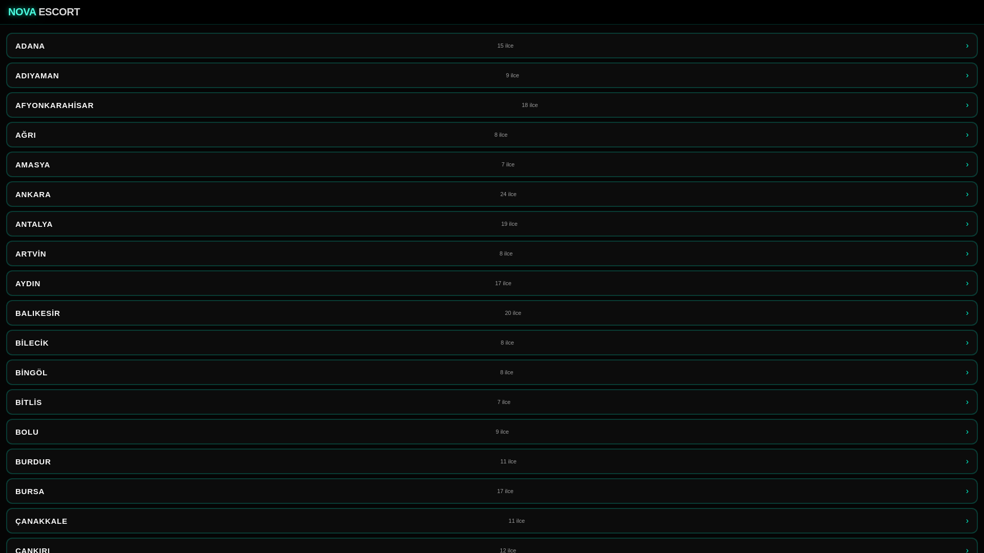 website screenshot of https://shortek.vip/