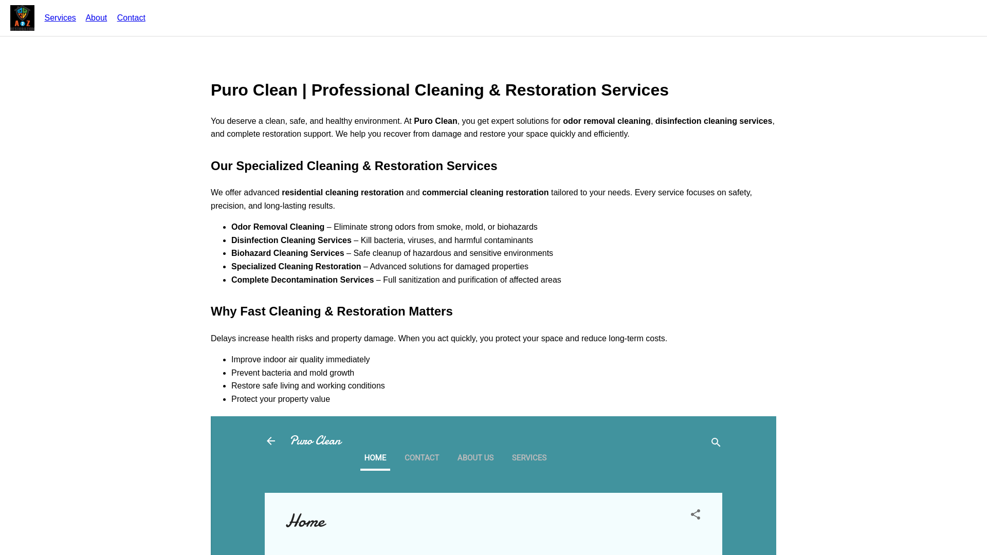 website screenshot of https://purerestorationcleaning.pages.dev/