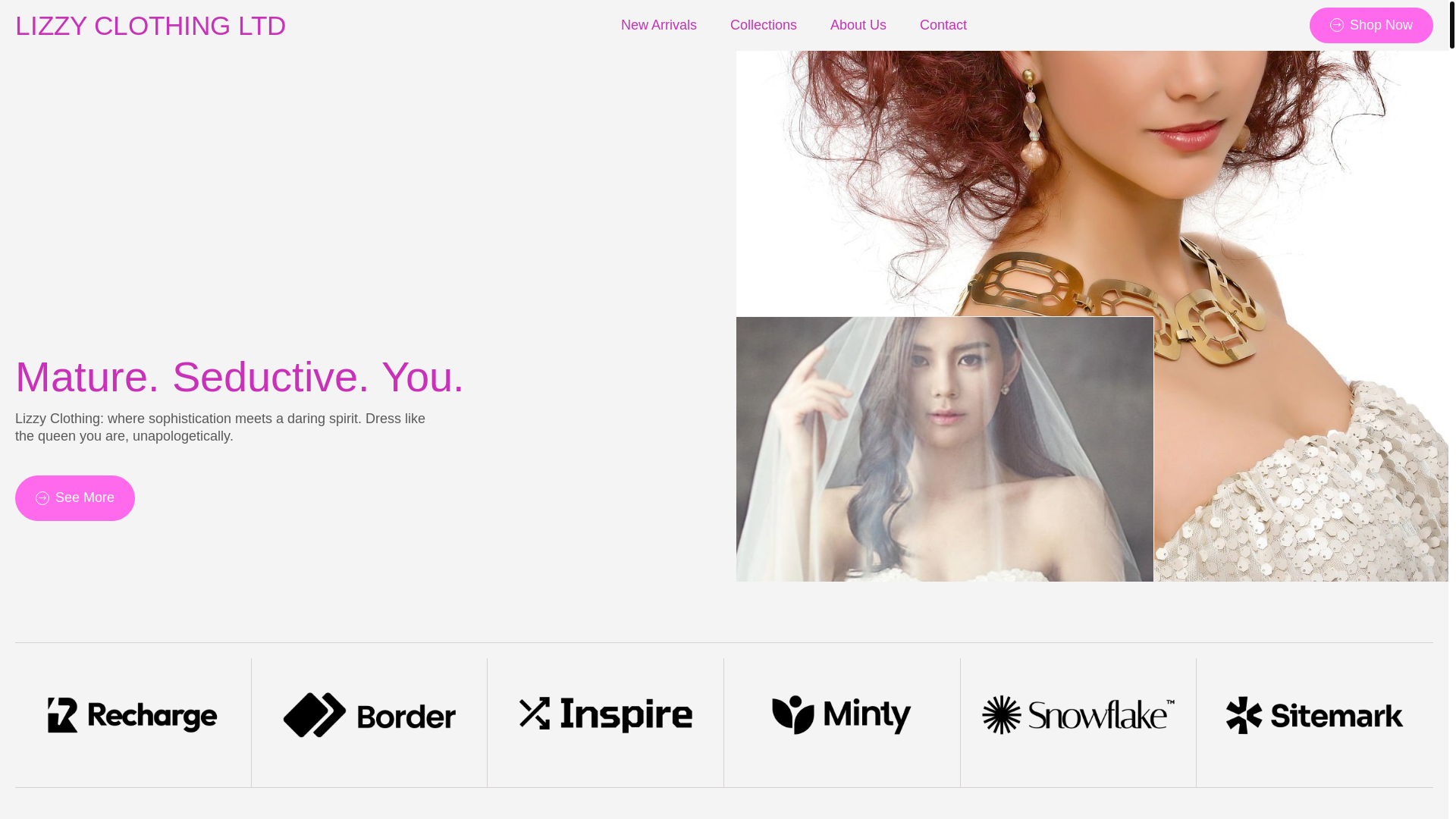 website screenshot of https://lizzyclothing.shop/
