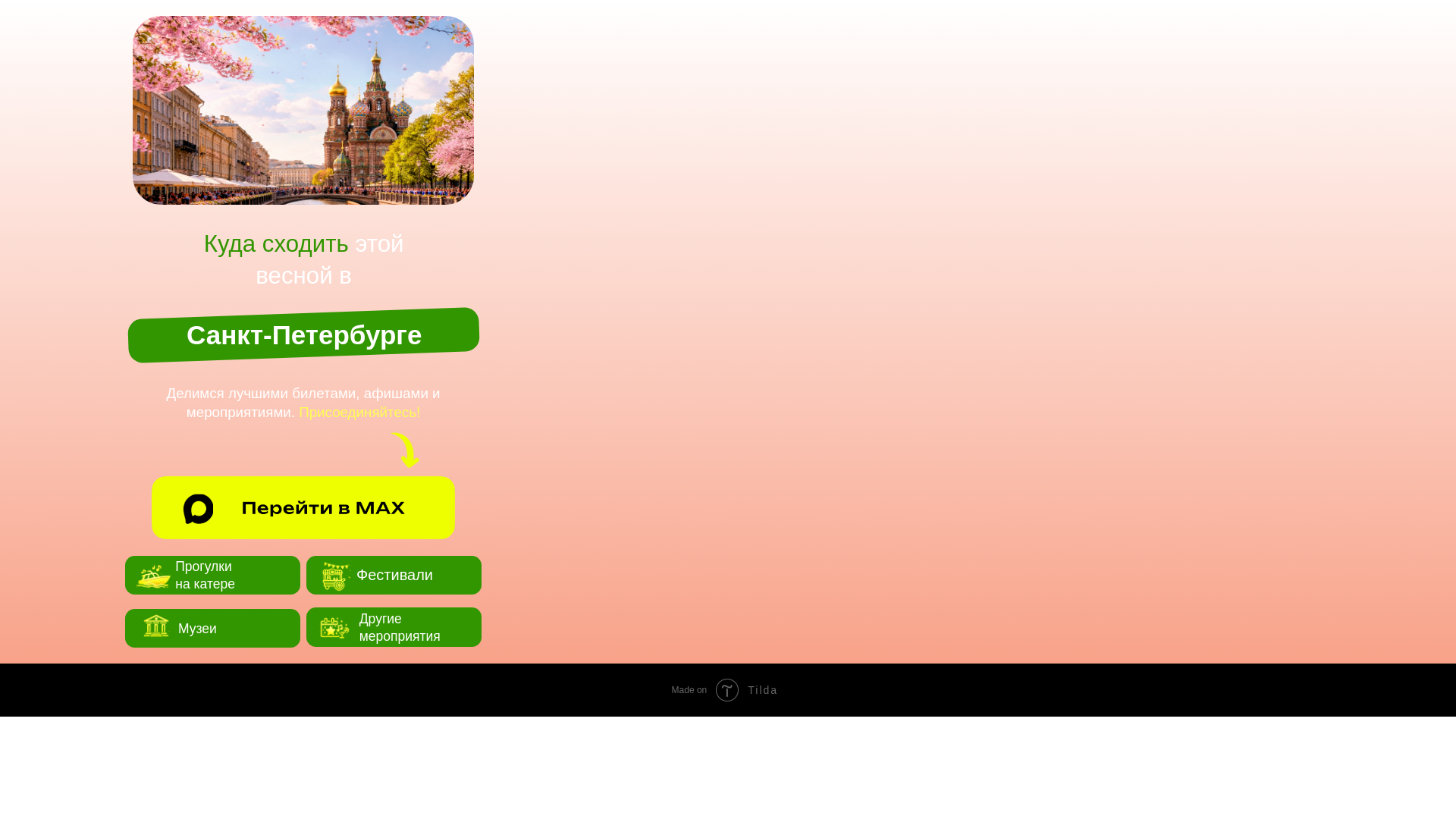 website screenshot of https://piter-entertaiments.ru/