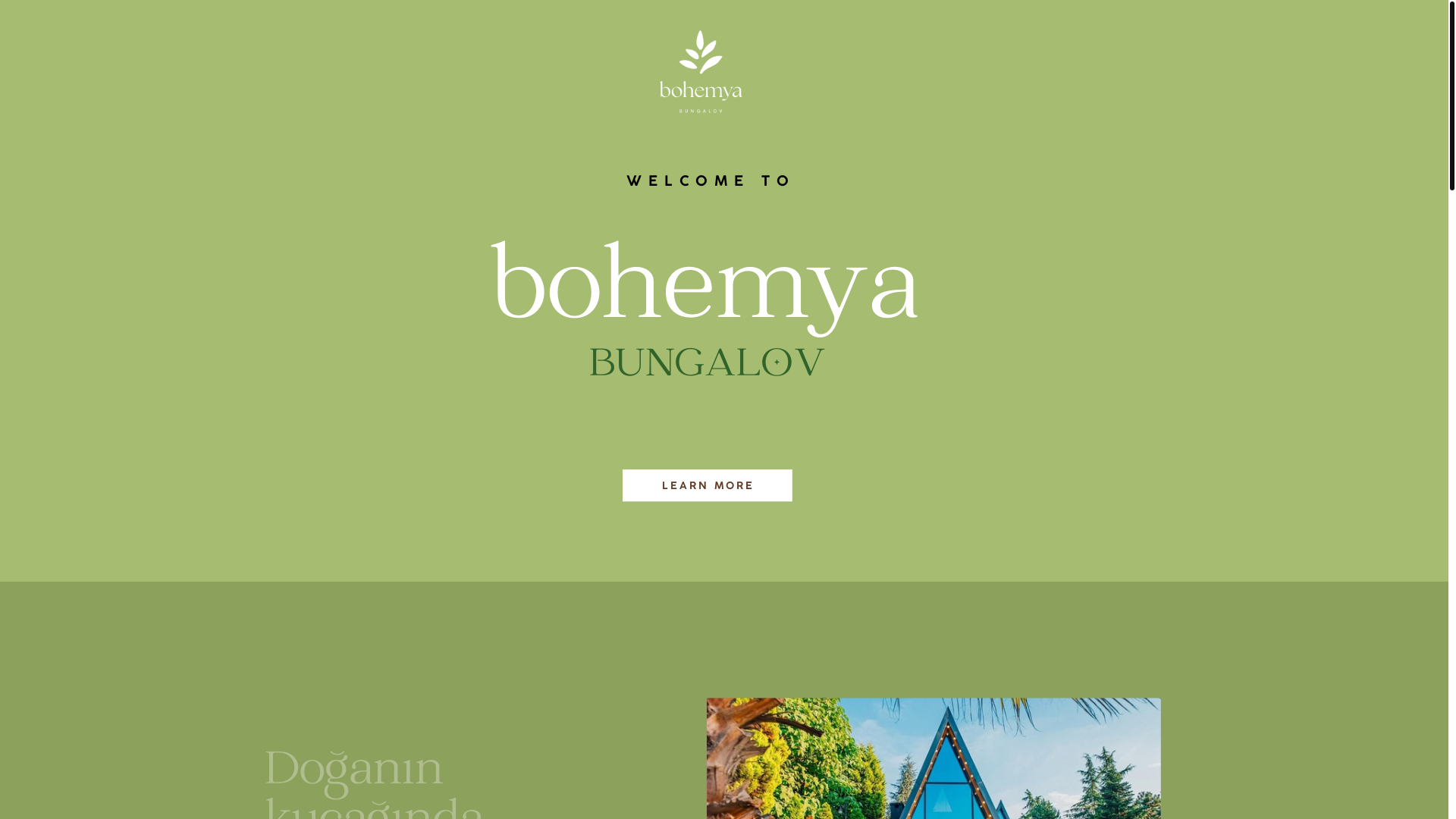 website screenshot of https://bohemyabungalov.com/