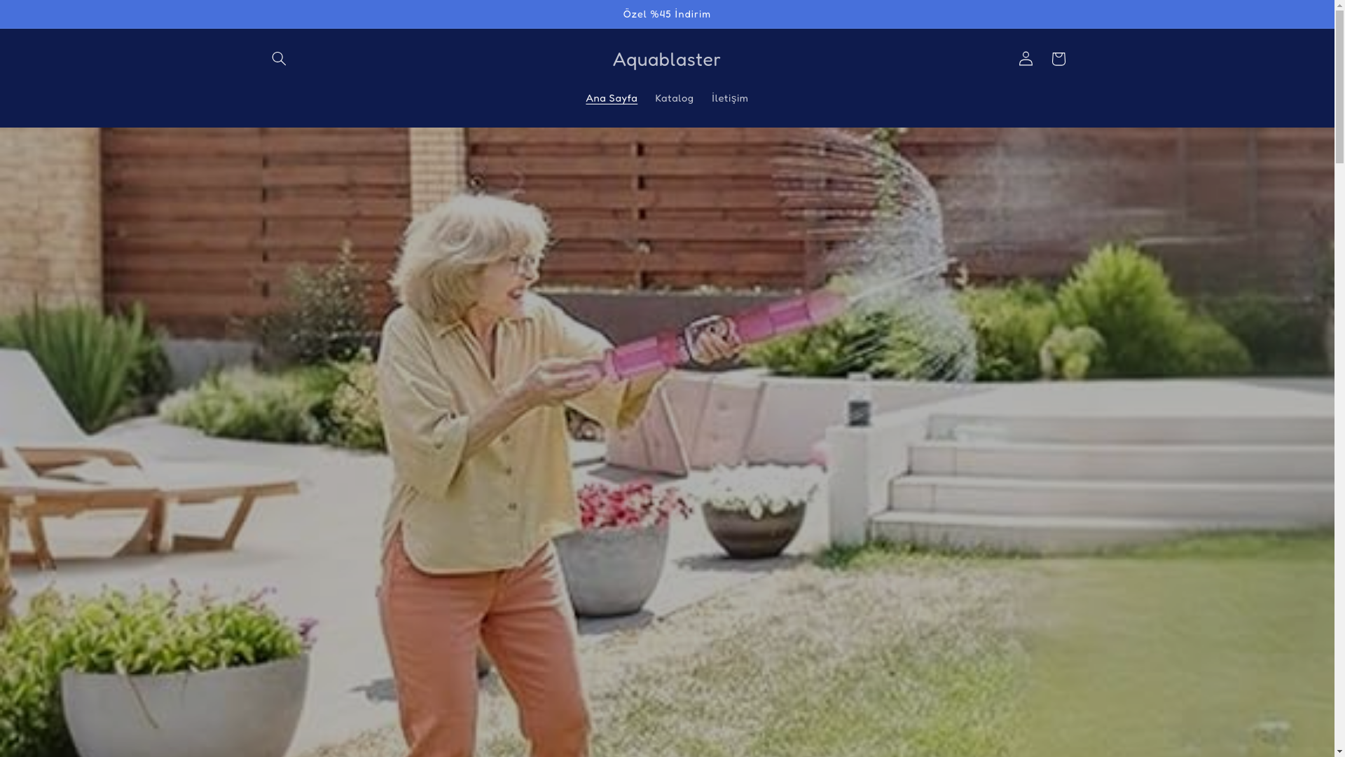 website screenshot of https://aquablastertr.com/