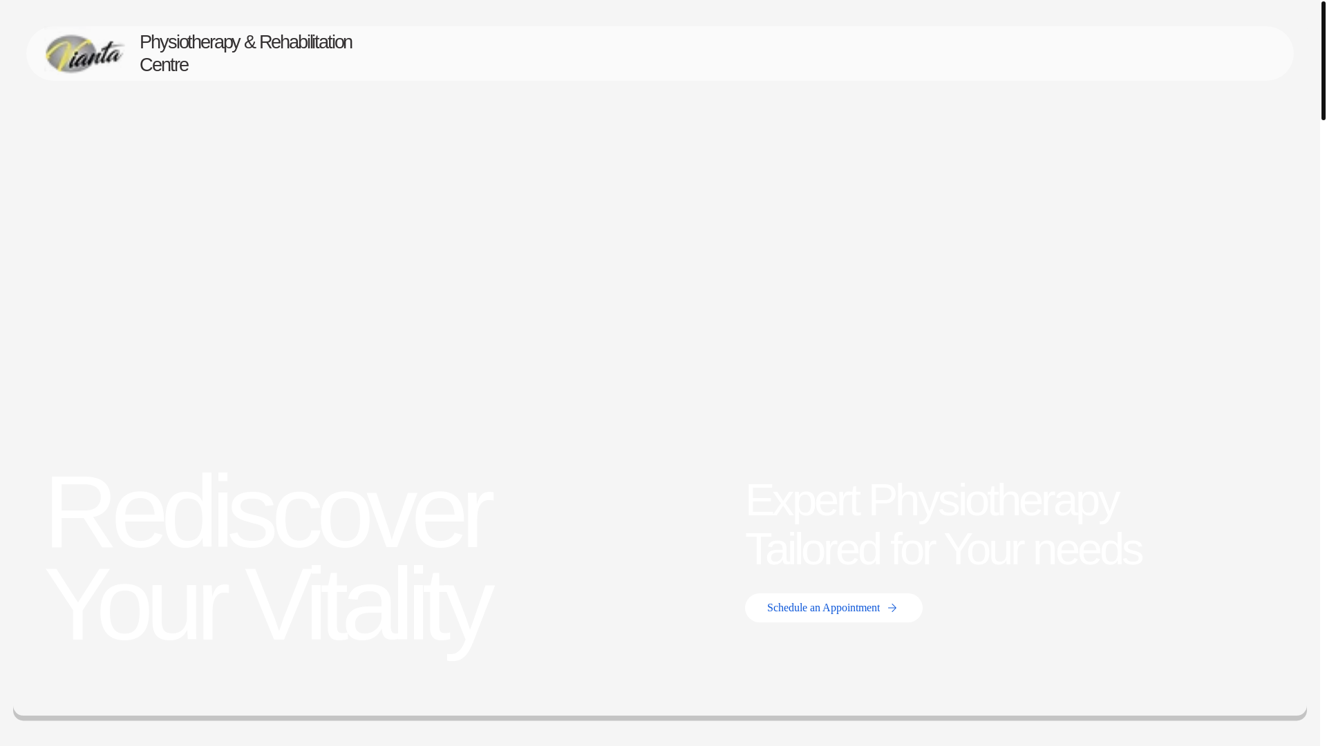 website screenshot of https://viantaphysiotherapy.com/