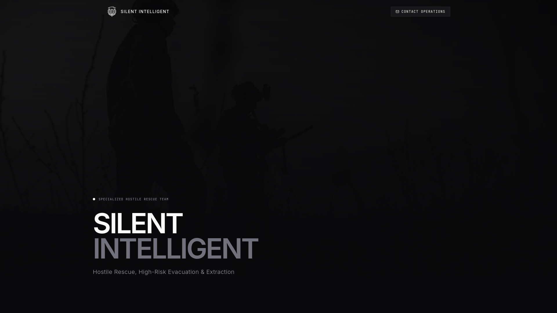 website screenshot of https://silentint.agency/