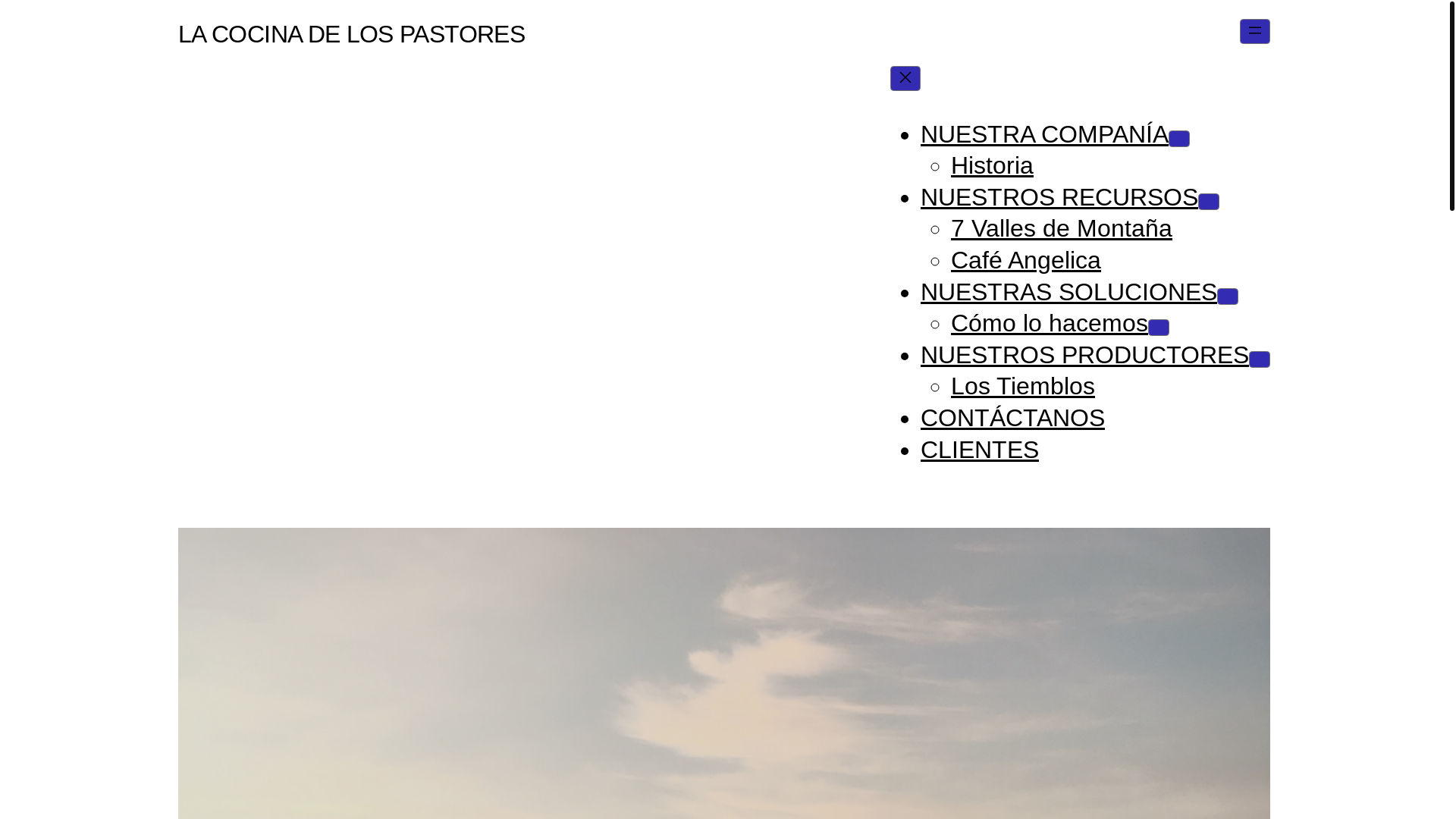 website screenshot of https://deluzcontucompania.com/